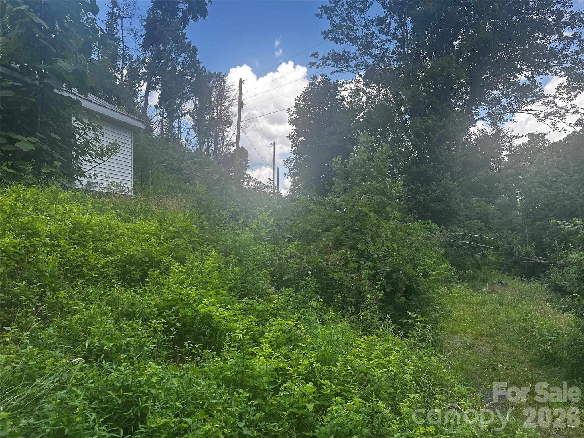 Acreage at 674 John Sparks Road, Bakersville, photo 6 of 38