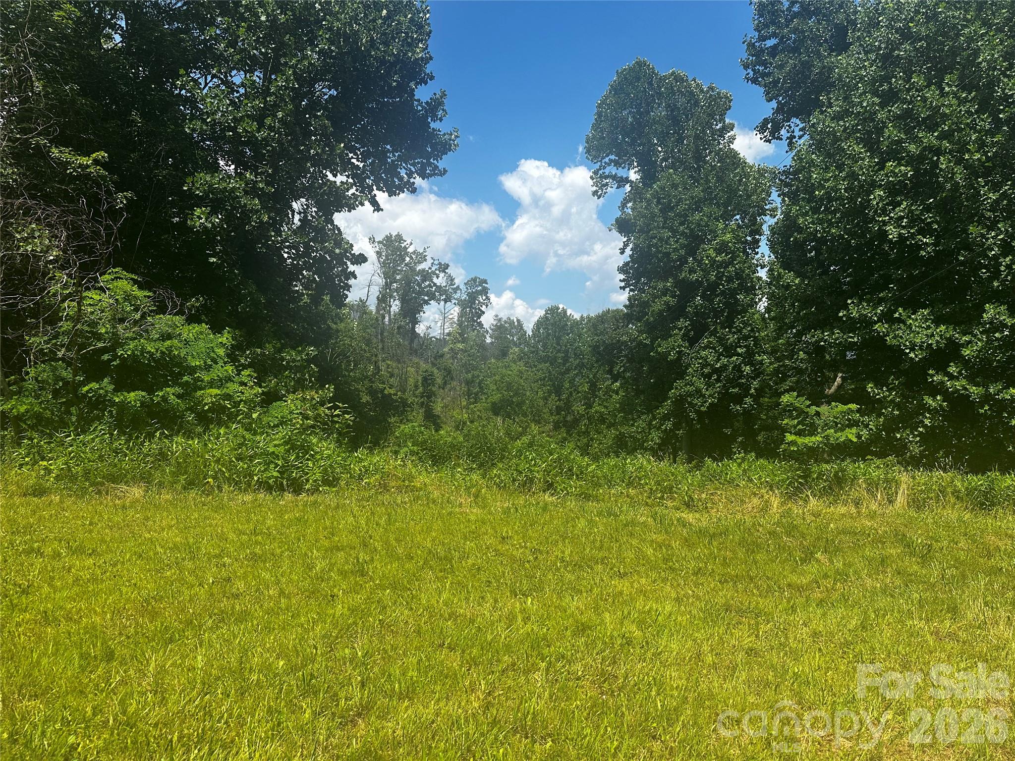Acreage at 674 John Sparks Road, Bakersville, photo 7 of 38