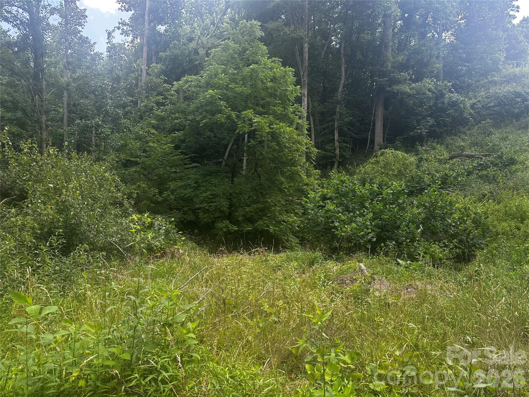 Acreage at 674 John Sparks Road, Bakersville, photo 12 of 38