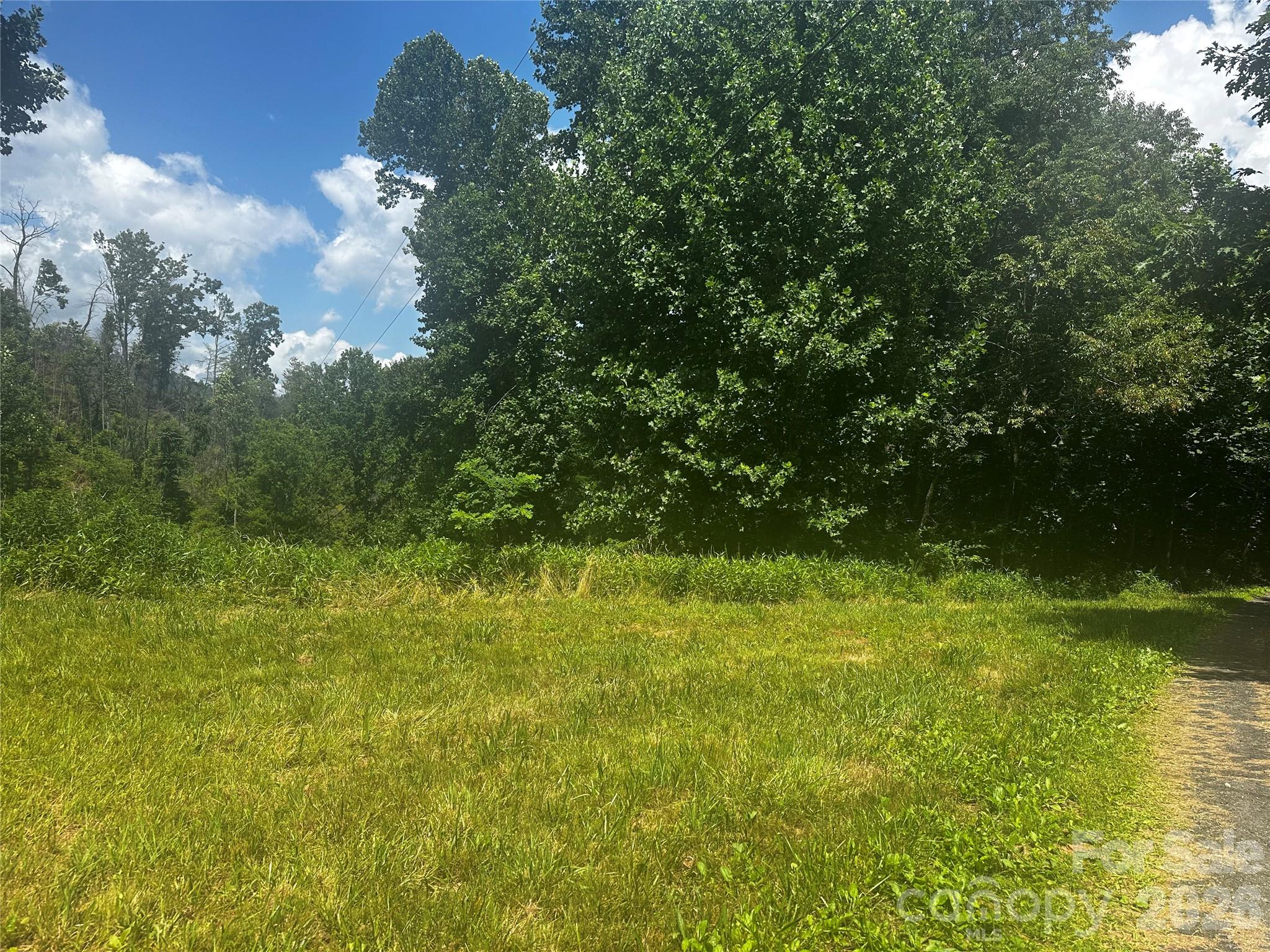 Acreage at 674 John Sparks Road, Bakersville, photo 14 of 38