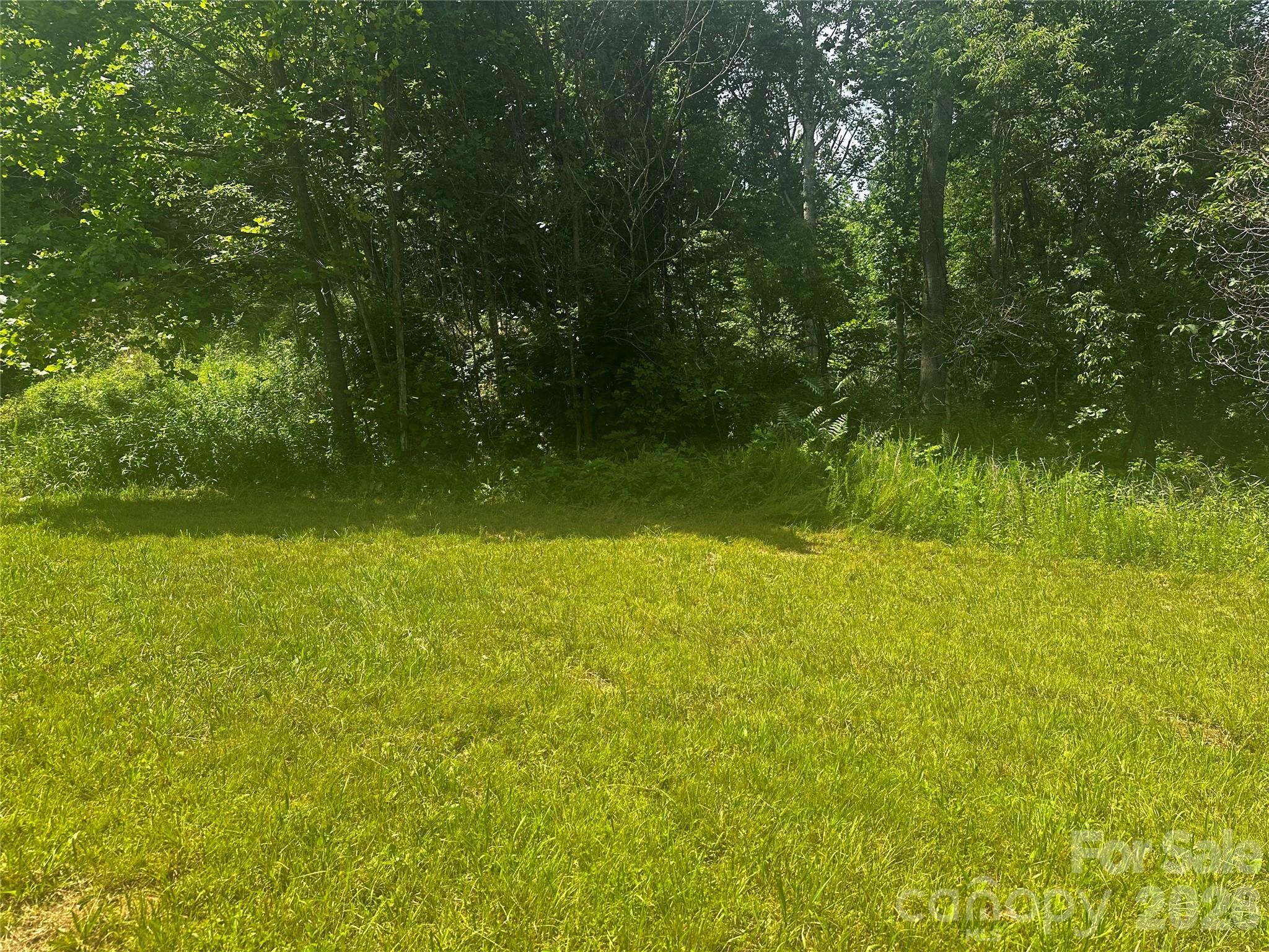 Acreage at 674 John Sparks Road, Bakersville, photo 20 of 38