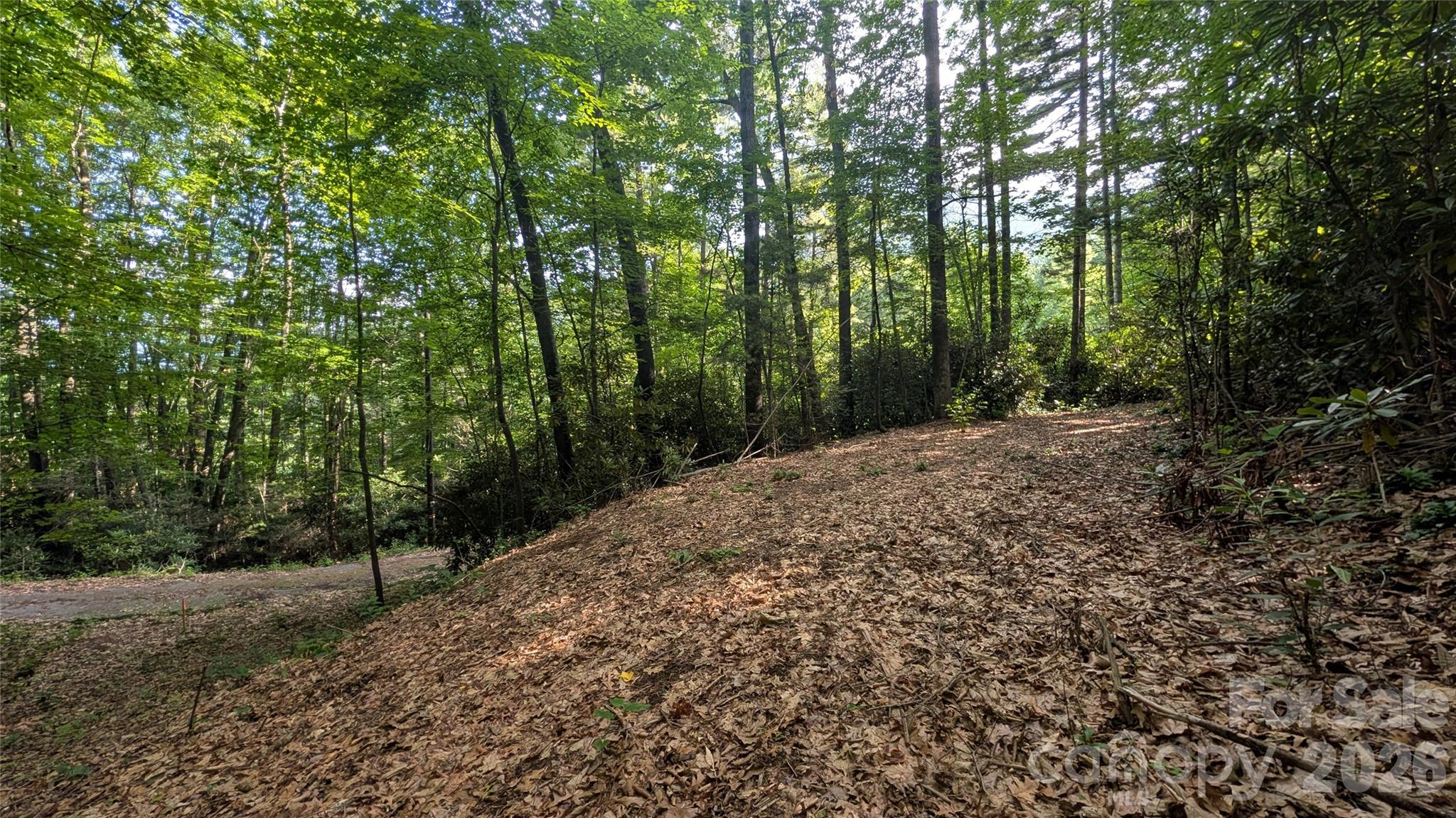 00 Chestnut Walk