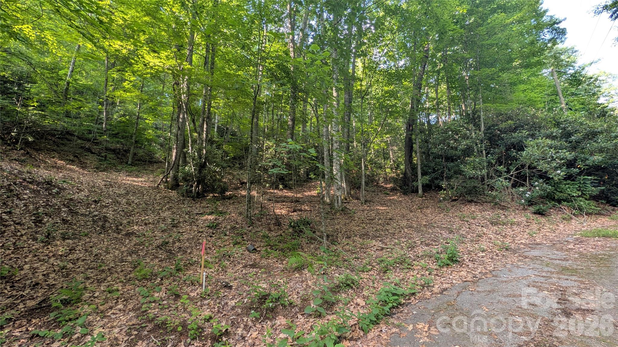 Lot at 00 Chestnut Walk, Waynesville, photo 3 of 20