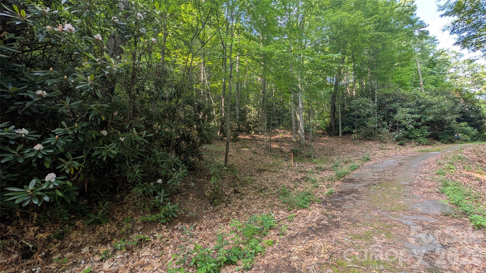 Lot at 00 Chestnut Walk, Waynesville, photo 4 of 20