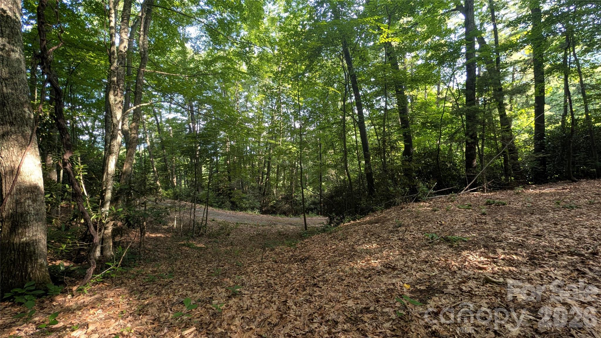Lot at 00 Chestnut Walk, Waynesville, photo 5 of 20