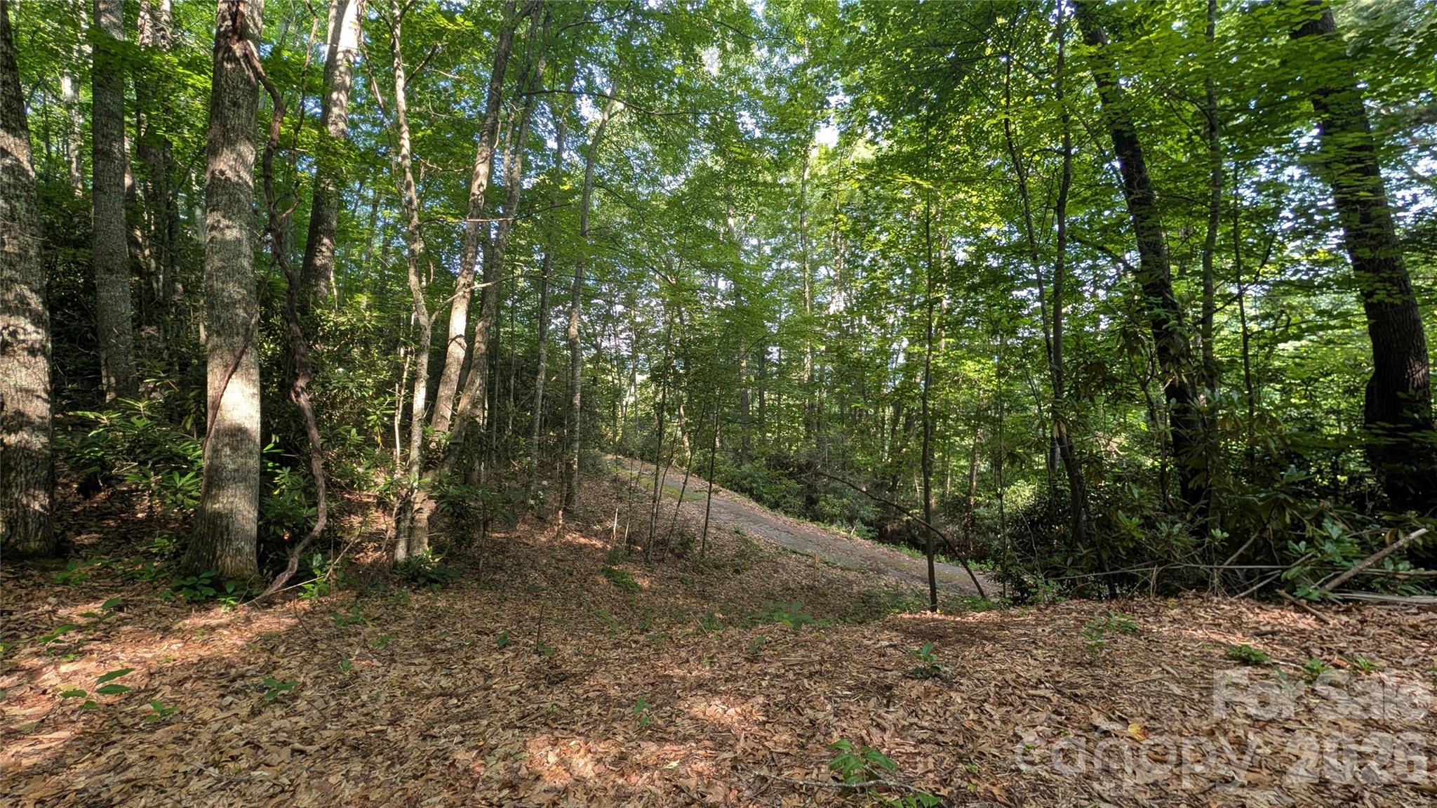 Lot at 00 Chestnut Walk, Waynesville, photo 6 of 20