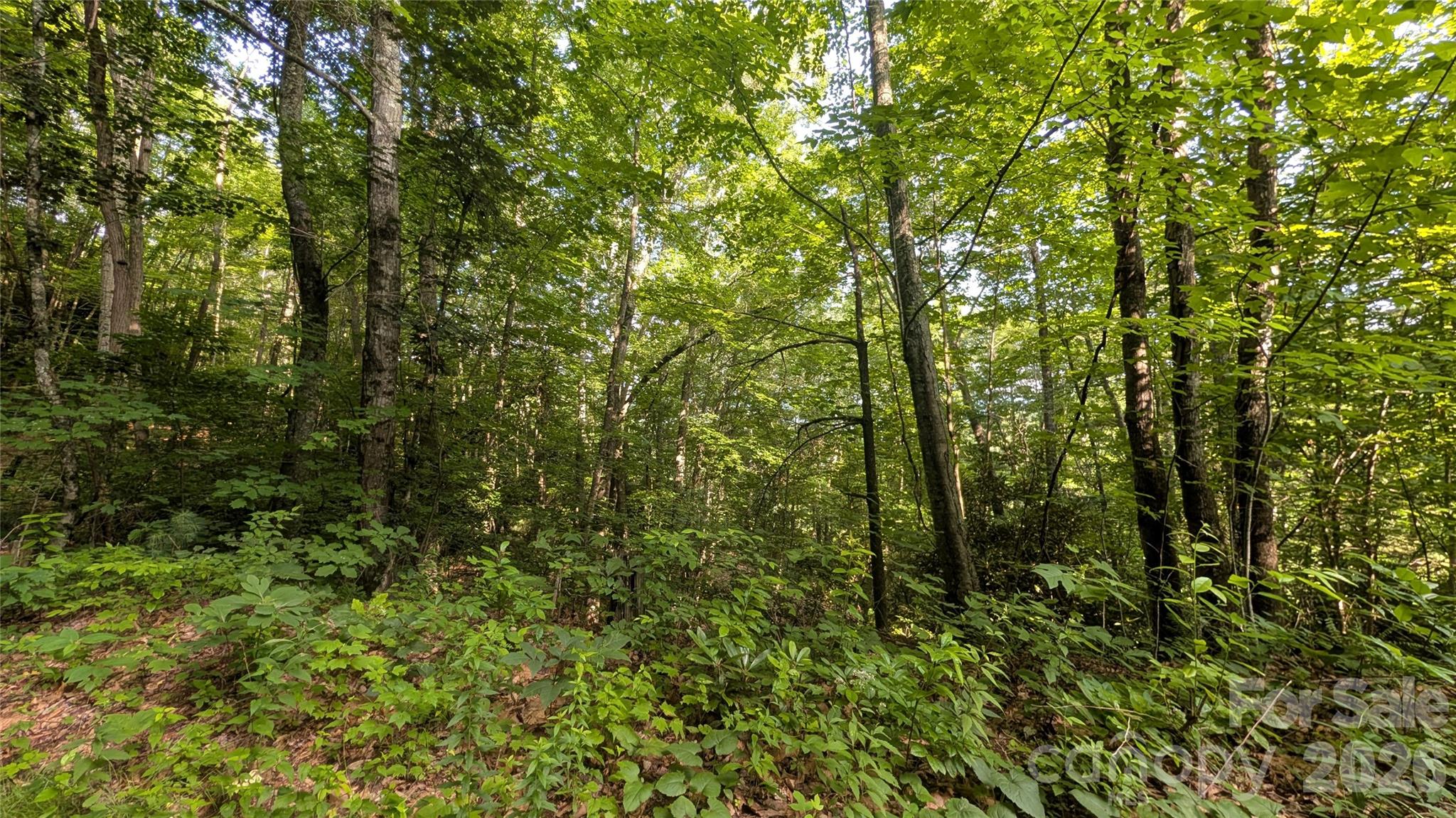 Lot at 00 Chestnut Walk, Waynesville, photo 9 of 20