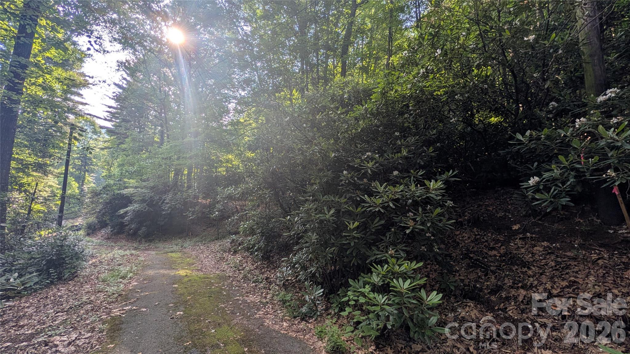 Lot at 00 Chestnut Walk, Waynesville, photo 11 of 20