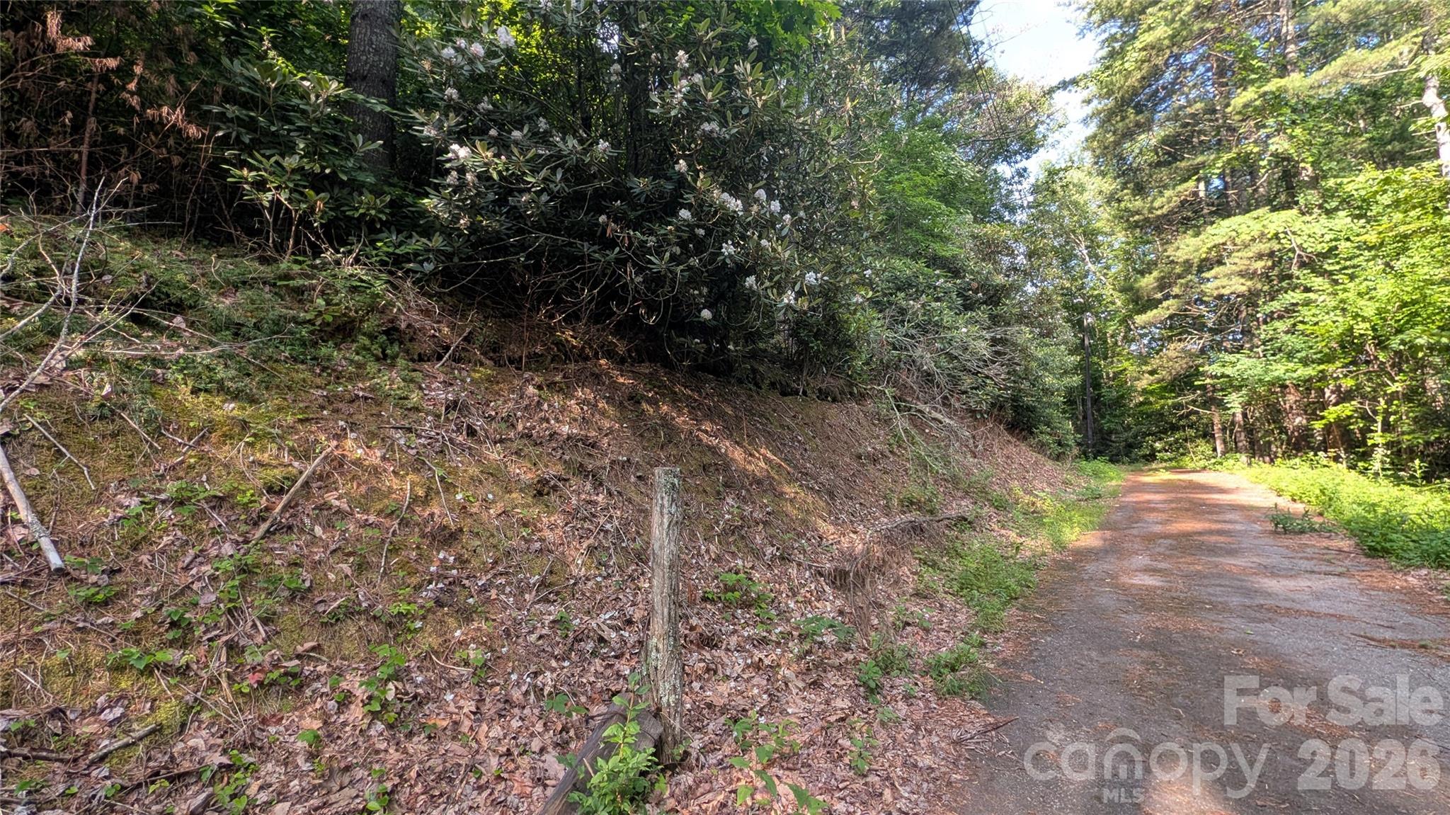 Lot at 00 Chestnut Walk, Waynesville, photo 13 of 20