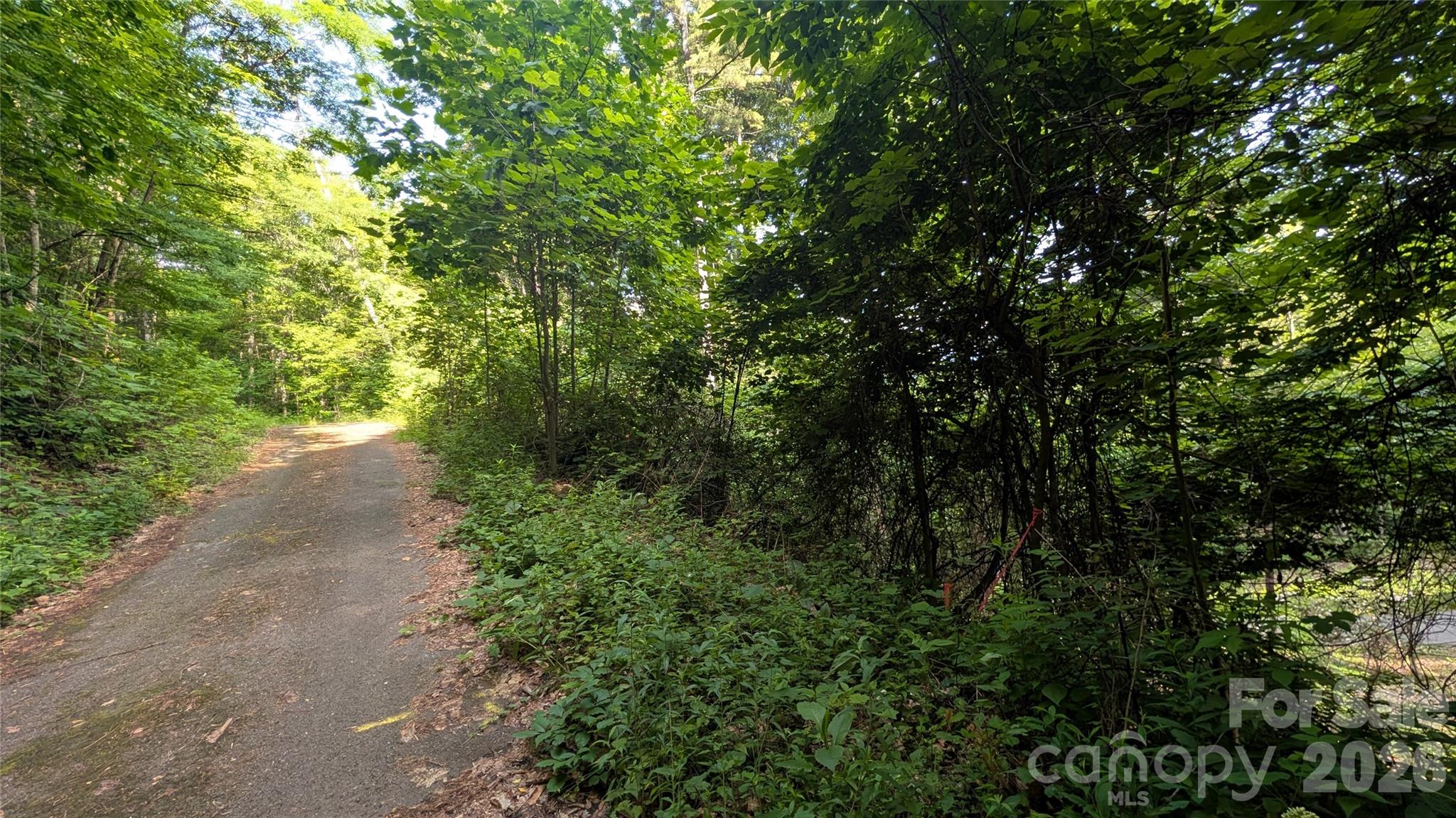 Lot at 00 Chestnut Walk, Waynesville, photo 14 of 20