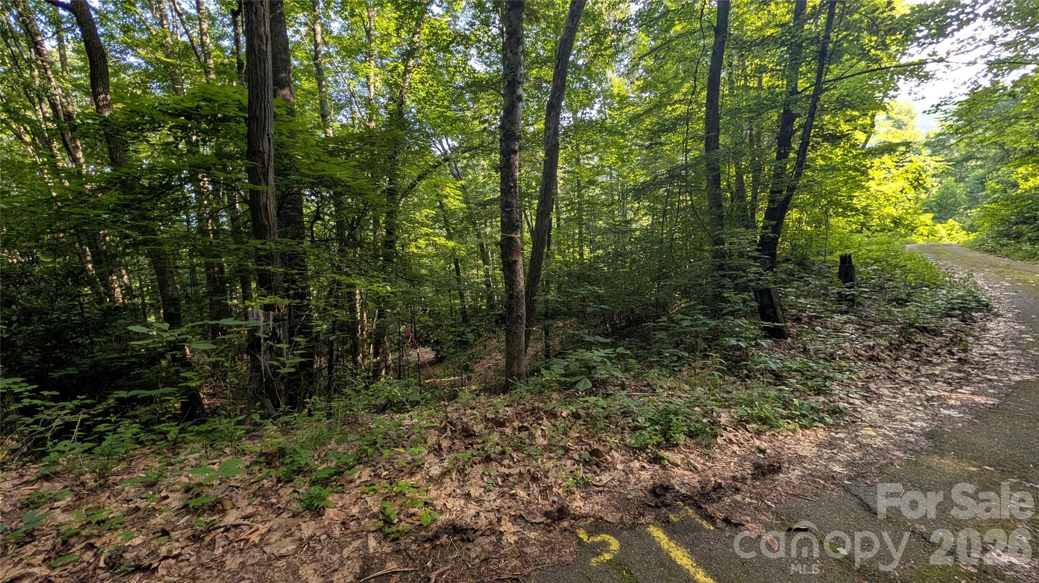 Lot at 00 Chestnut Walk, Waynesville, photo 17 of 20