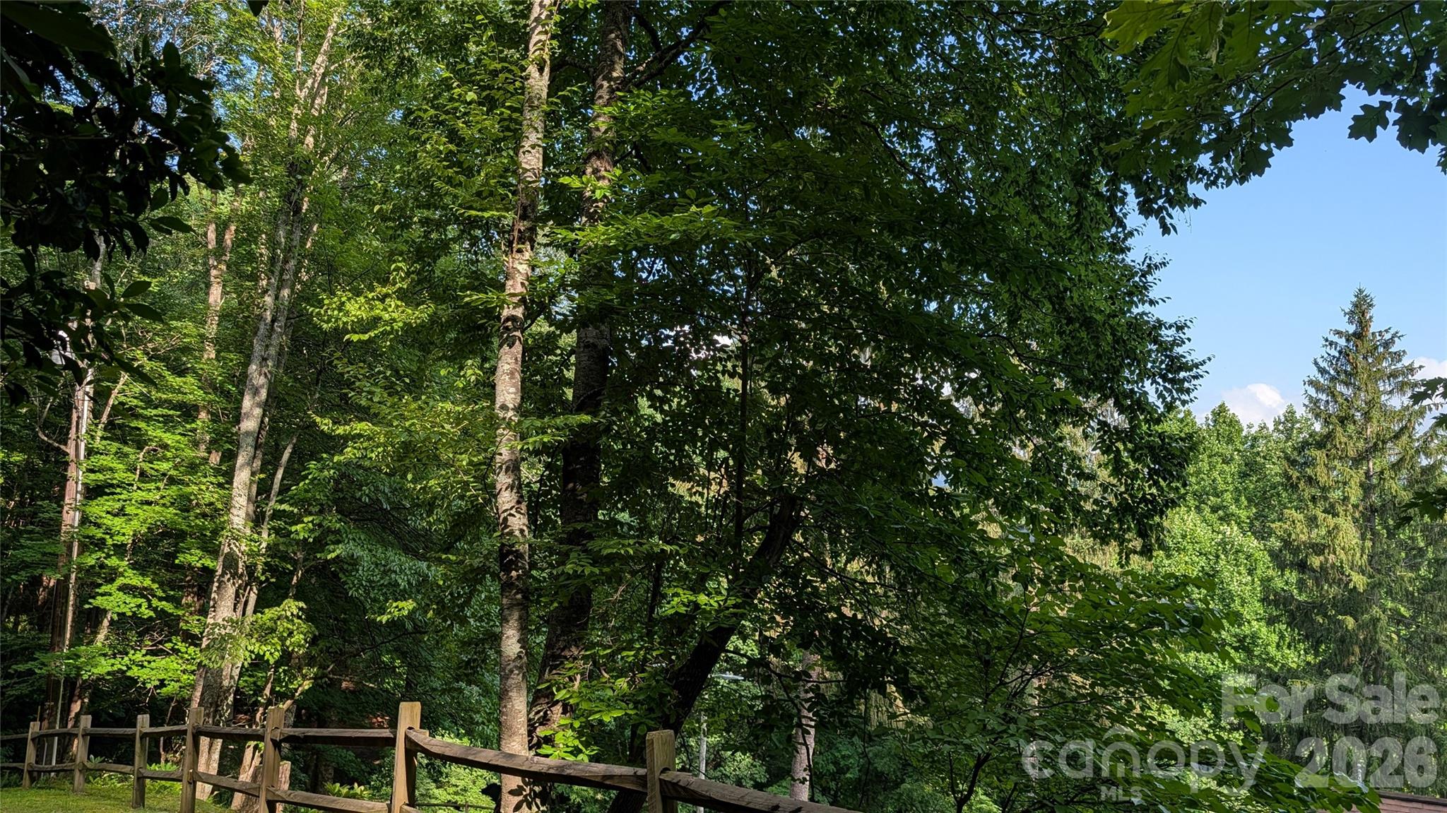 Lot at 00 Chestnut Walk, Waynesville, photo 3 of 26