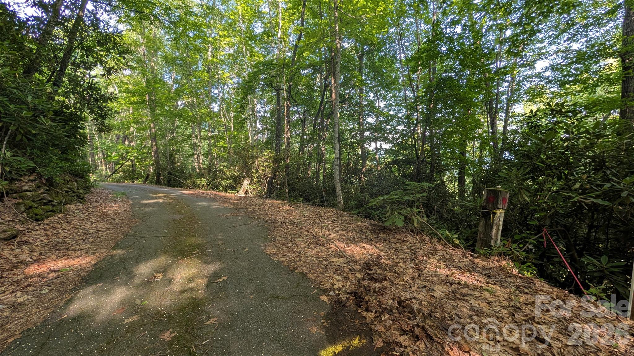 Lot at 00 Chestnut Walk, Waynesville, photo 5 of 26