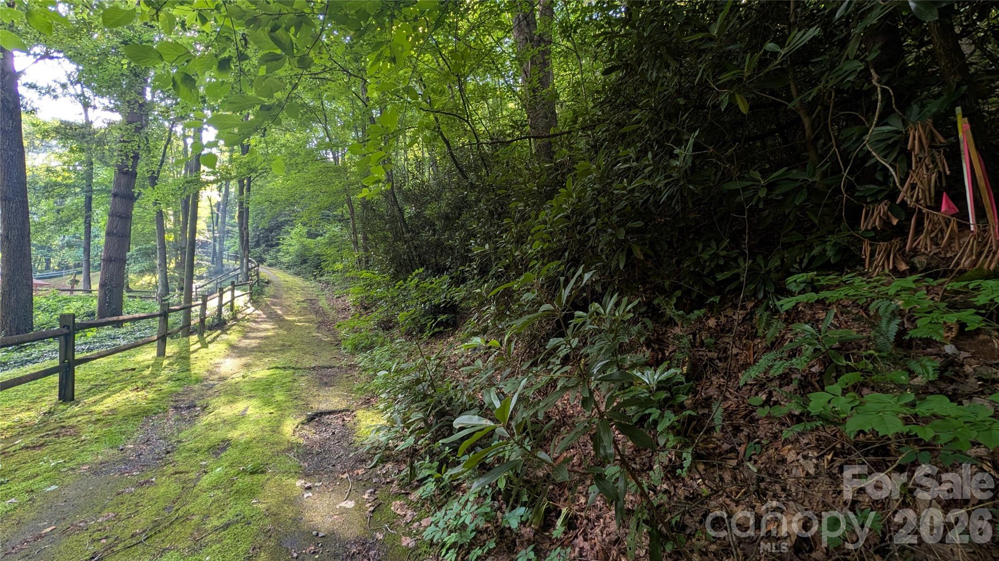 Lot at 00 Chestnut Walk, Waynesville, photo 17 of 26