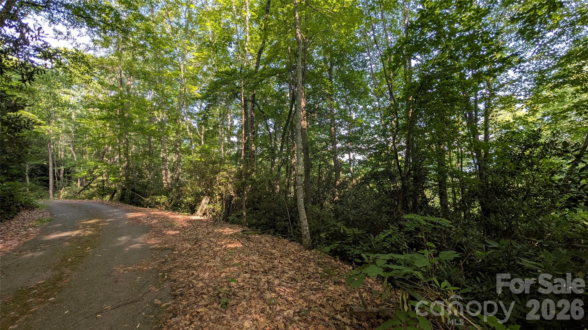 Lot at 00 Chestnut Walk, Waynesville, photo 18 of 26