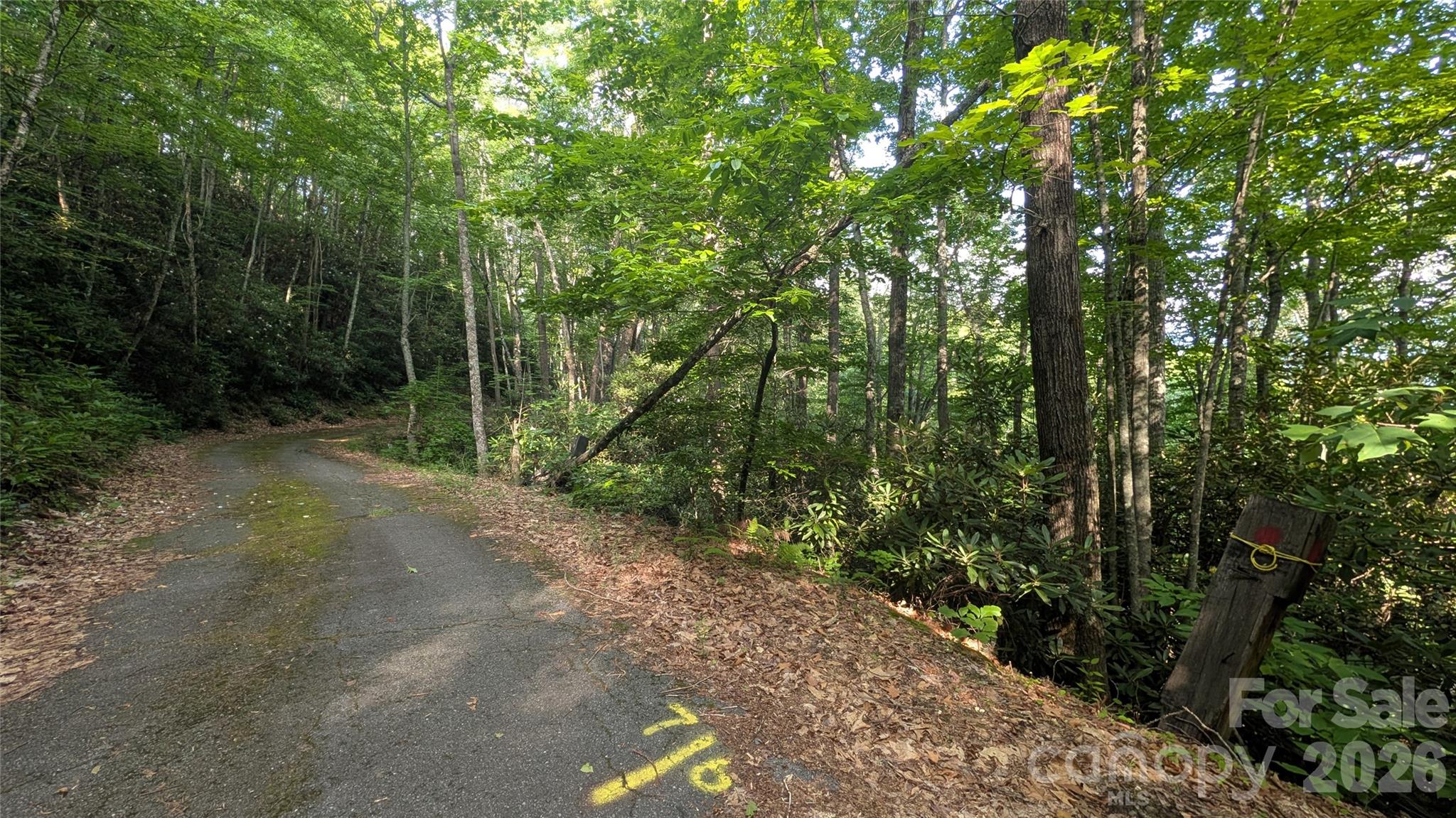 Lot at 00 Chestnut Walk, Waynesville, photo 20 of 26