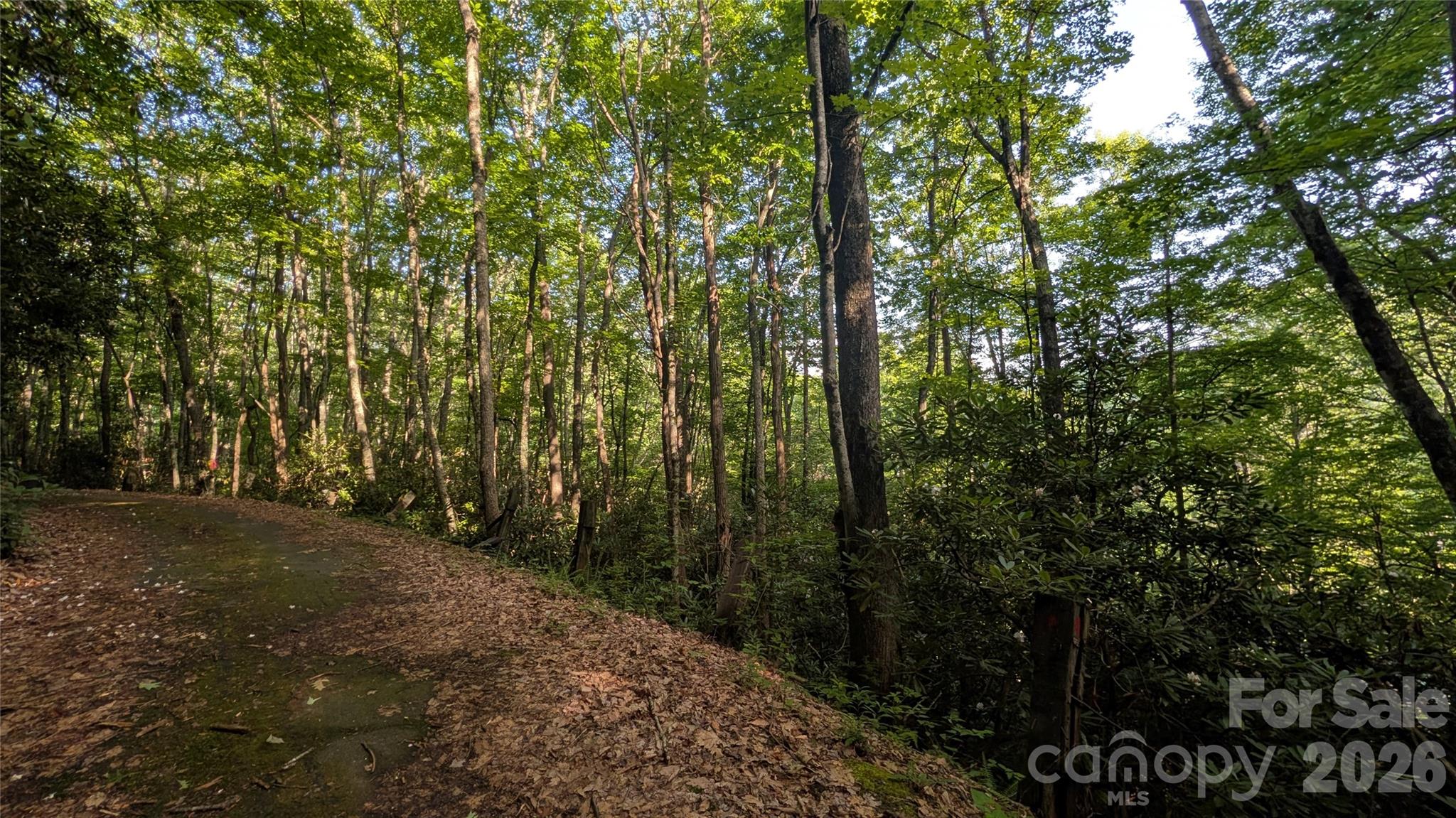 Lot at 00 Chestnut Walk, Waynesville, photo 23 of 26