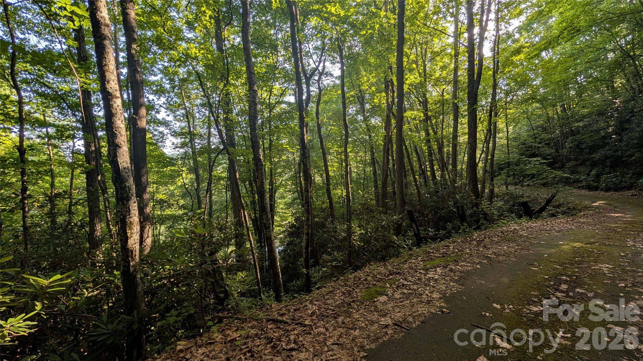 Lot at 00 Chestnut Walk, Waynesville, photo 25 of 26