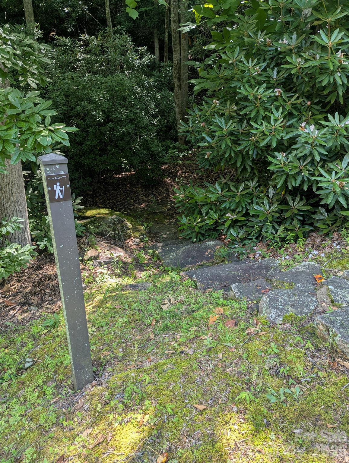 Lot at 46 Settings Boulevard, Black Mountain, photo 6 of 19