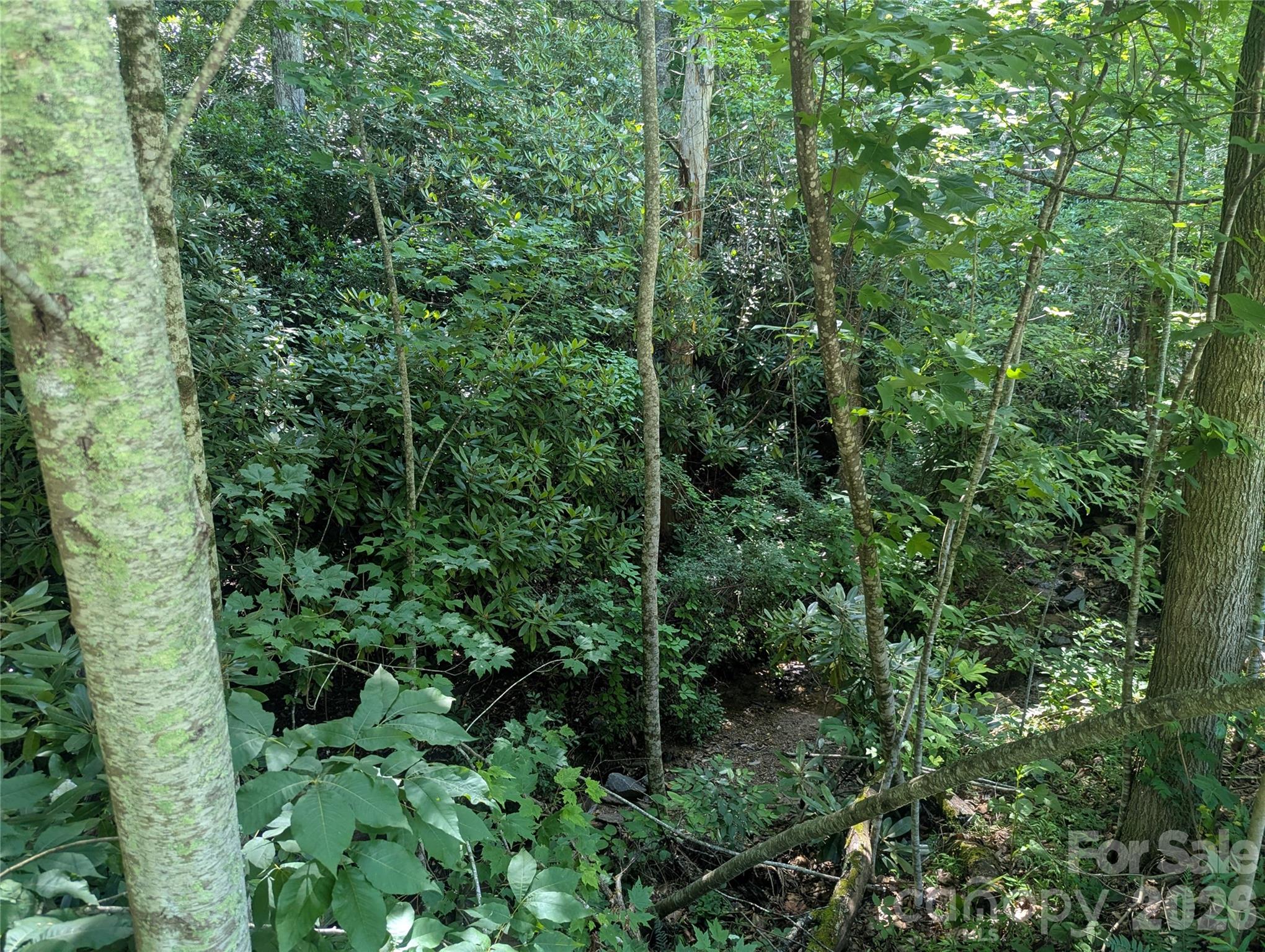 Lot at 46 Settings Boulevard, Black Mountain, photo 14 of 19