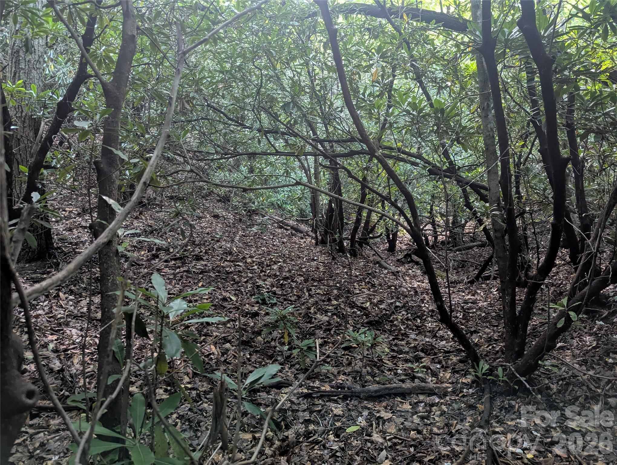 Lot at 46 Settings Boulevard, Black Mountain, photo 15 of 19