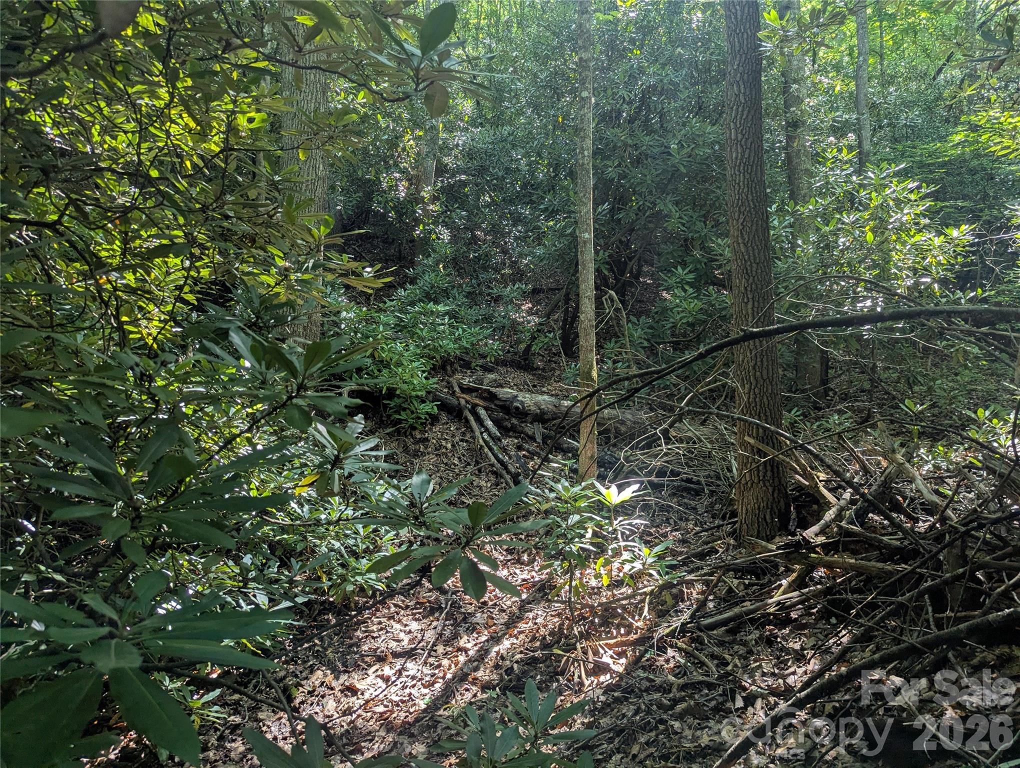 Lot at 46 Settings Boulevard, Black Mountain, photo 16 of 19