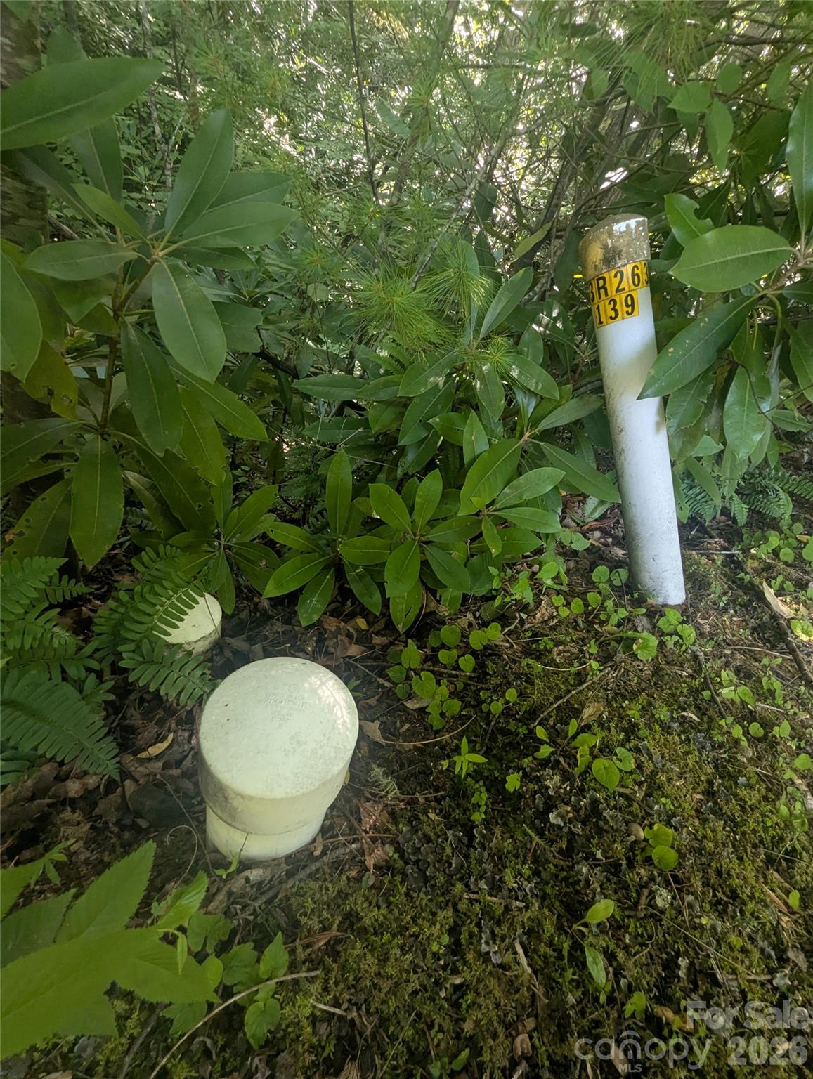 Lot at 46 Settings Boulevard, Black Mountain, photo 18 of 19