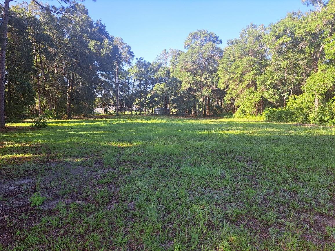 Land at 00 SW 55TH ST, OCALA, photo 3 of 3