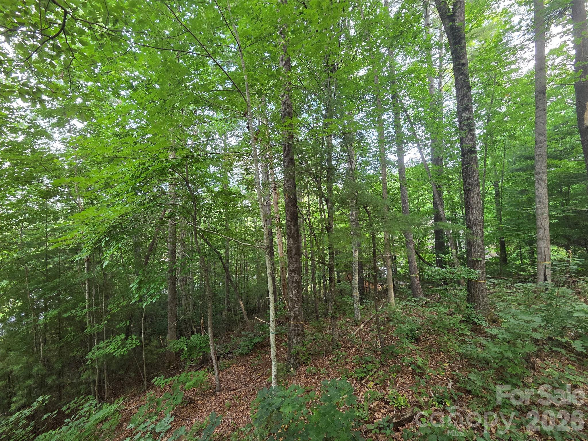 Lot at 16 Courseview Drive, Weaverville, photo 3 of 12