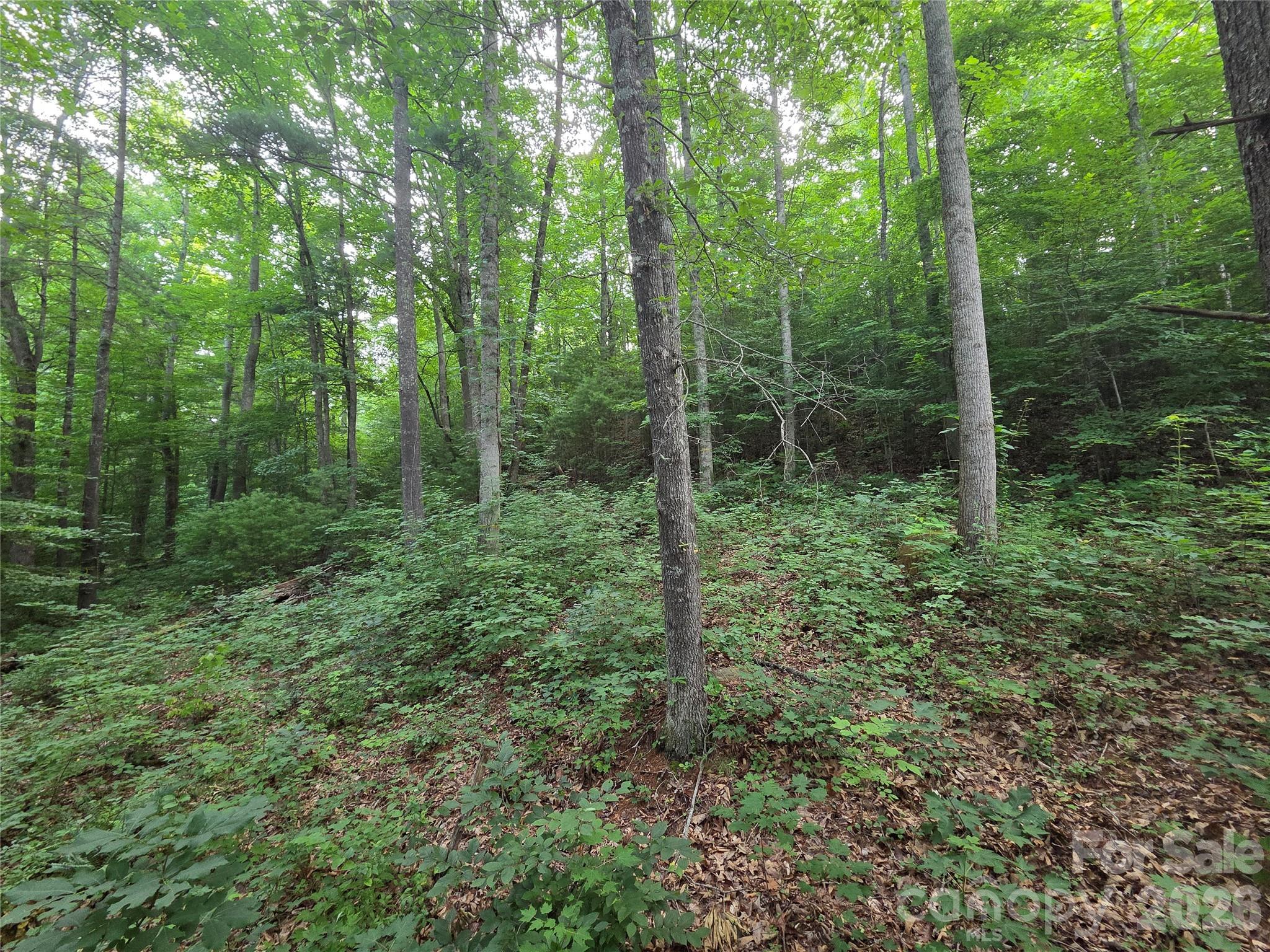 Lot at 16 Courseview Drive, Weaverville, photo 4 of 12
