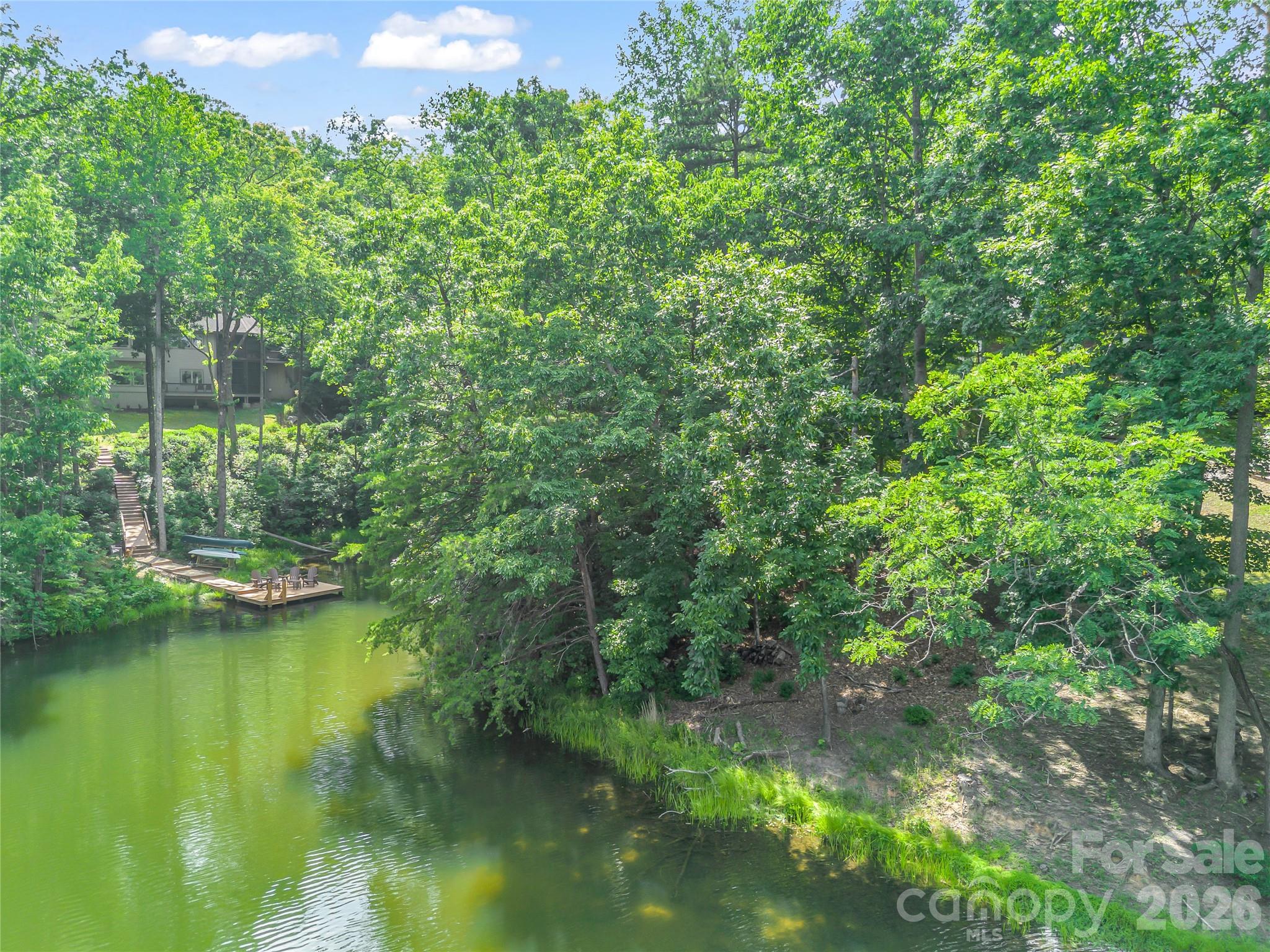 Lot at Lot 82 Lakewood Drive, Lake Lure, photo 2 of 27