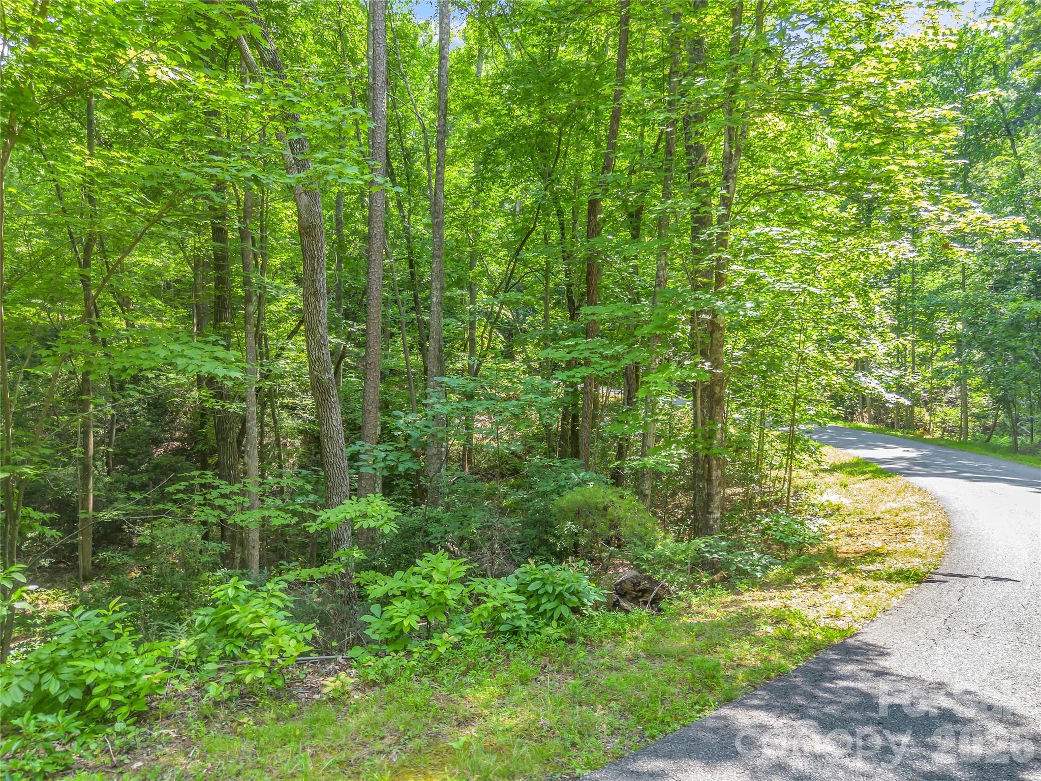 Lot at Lot 82 Lakewood Drive, Lake Lure, photo 8 of 27