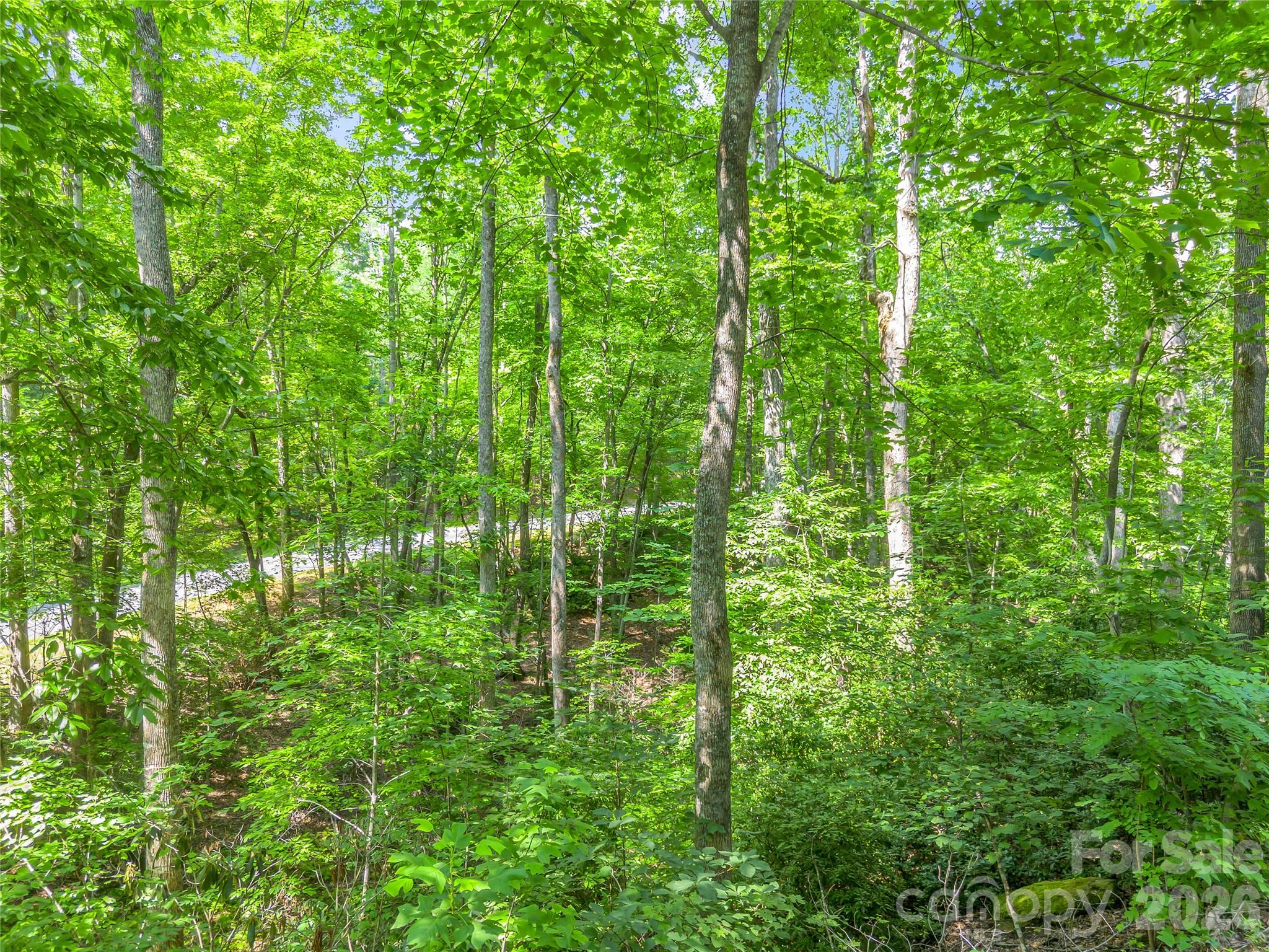 Lot at Lot 82 Lakewood Drive, Lake Lure, photo 9 of 27