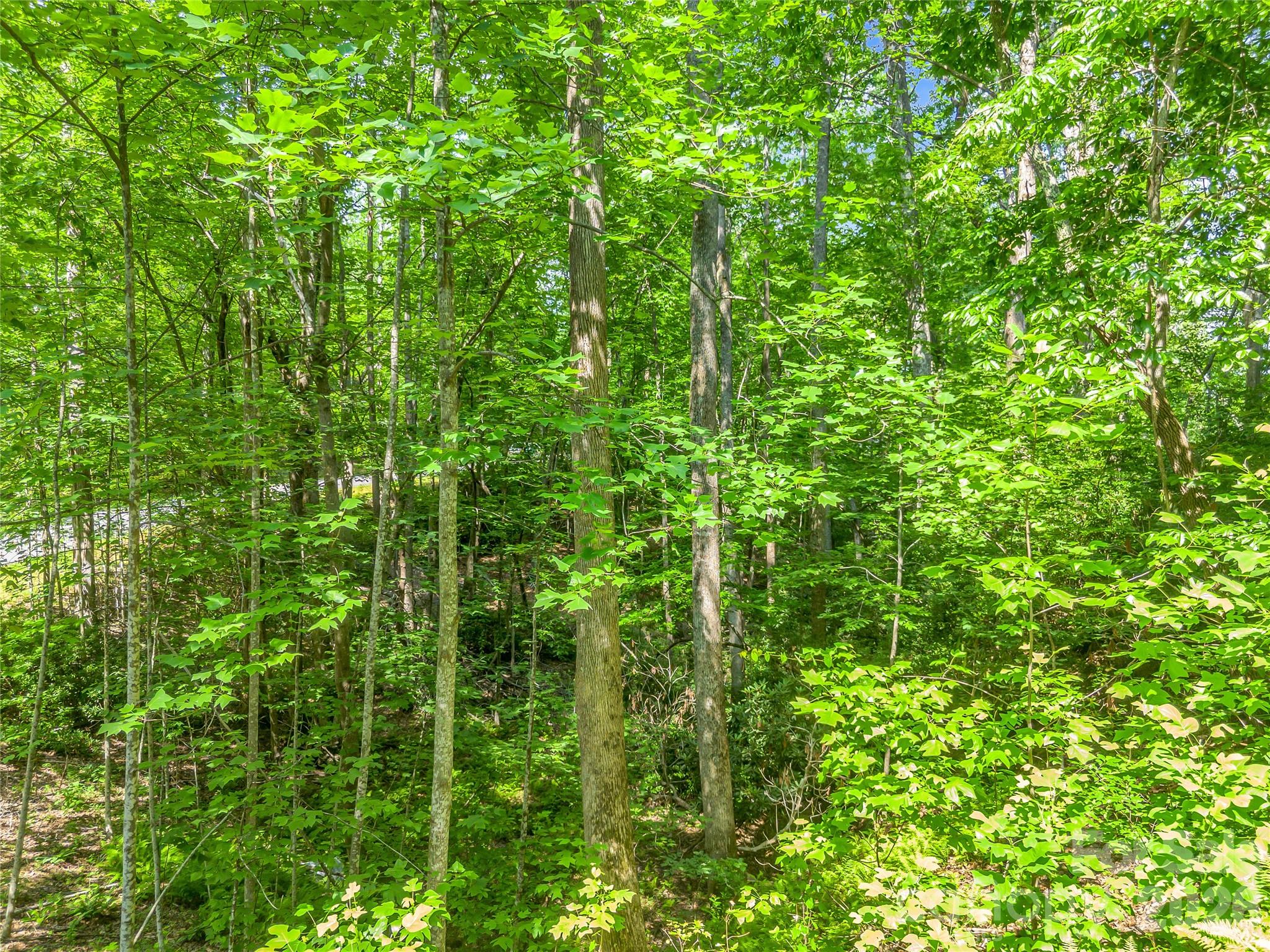 Lot at Lot 82 Lakewood Drive, Lake Lure, photo 10 of 27