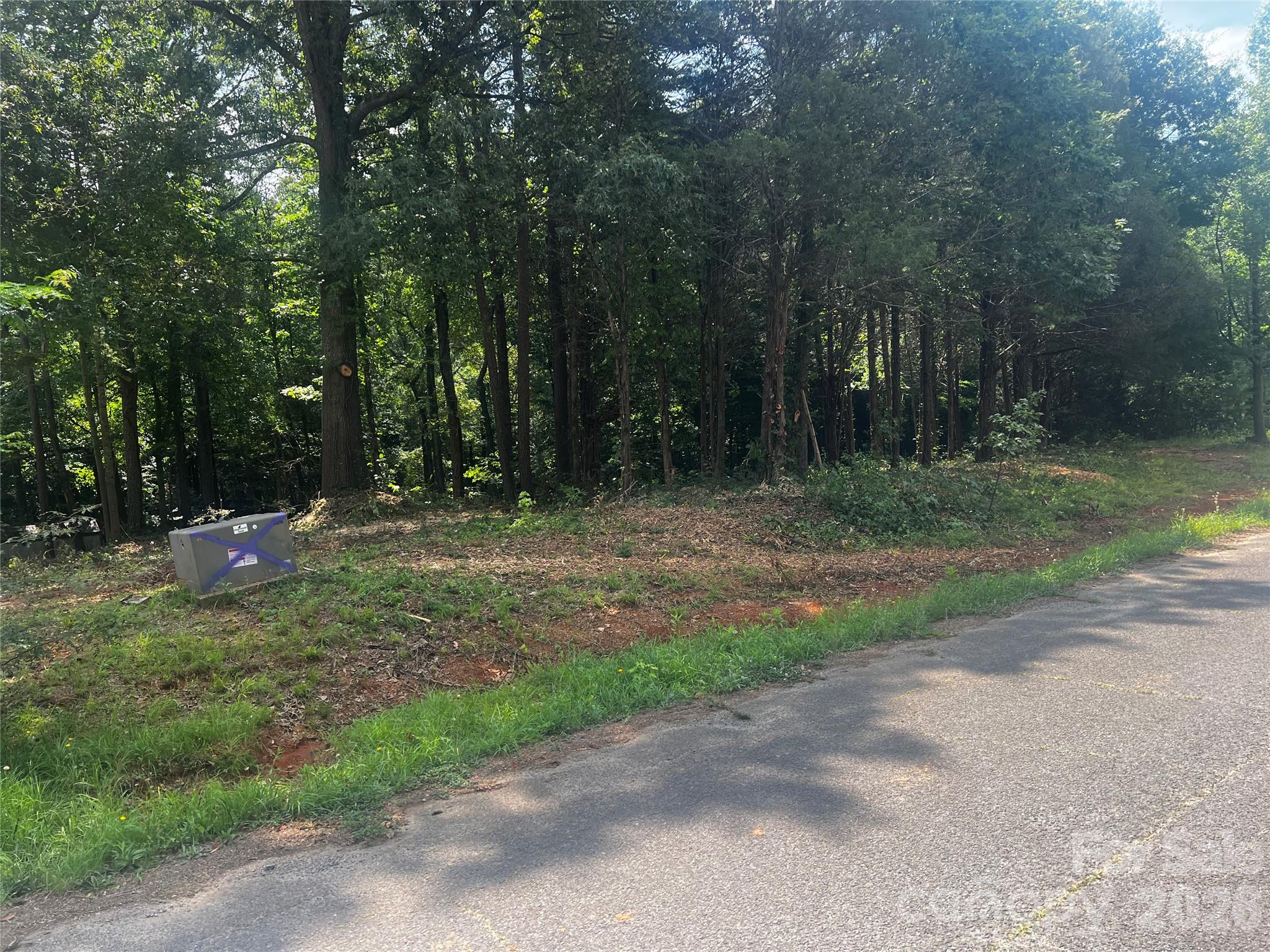 Lot at 10376 Turnplow Drive, Davidson, photo 2 of 13