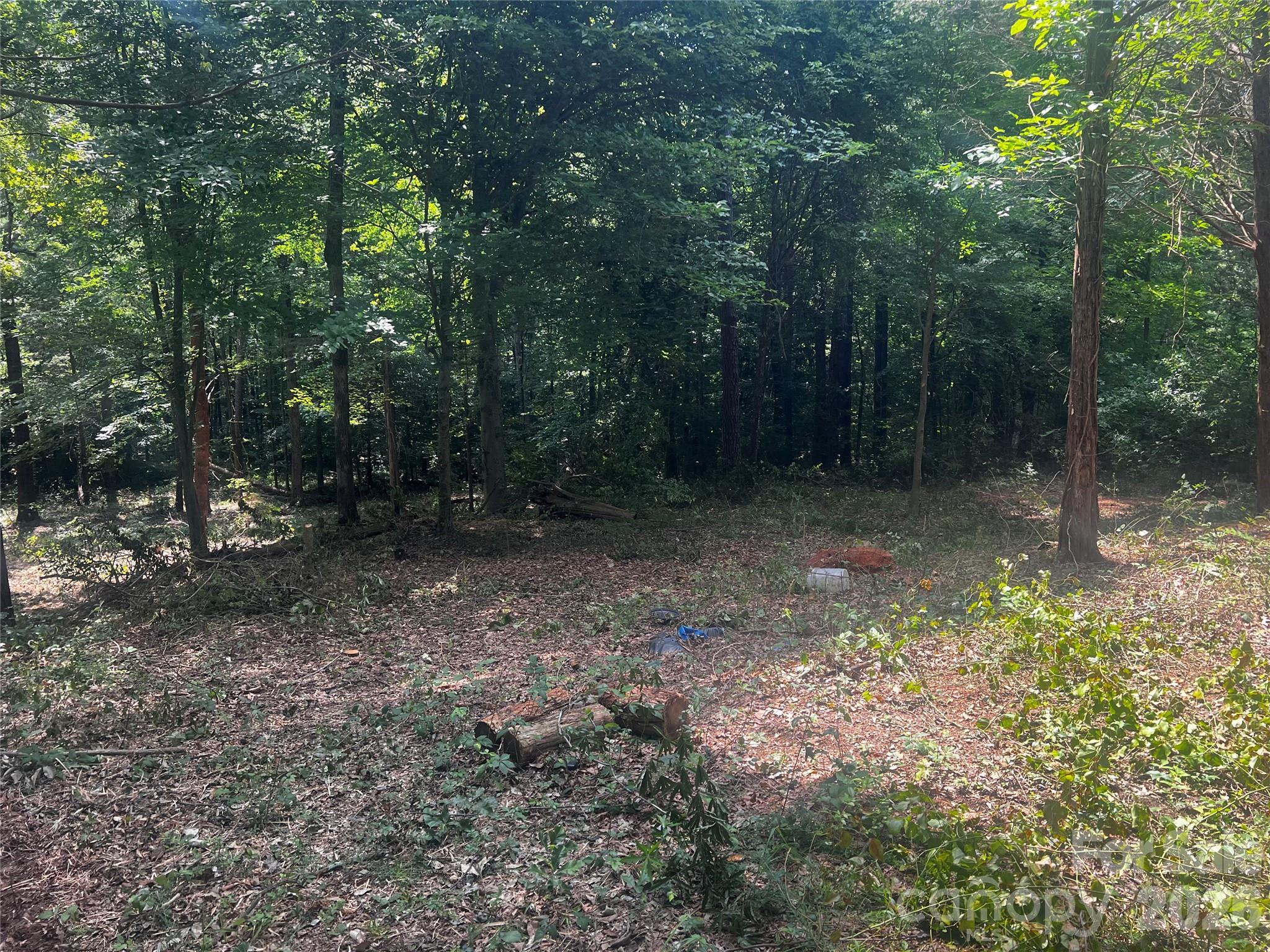 Lot at 10376 Turnplow Drive, Davidson, photo 6 of 13