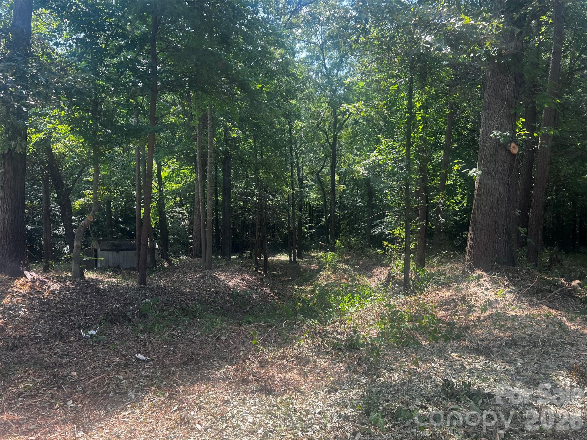 Lot at 10376 Turnplow Drive, Davidson, photo 8 of 13