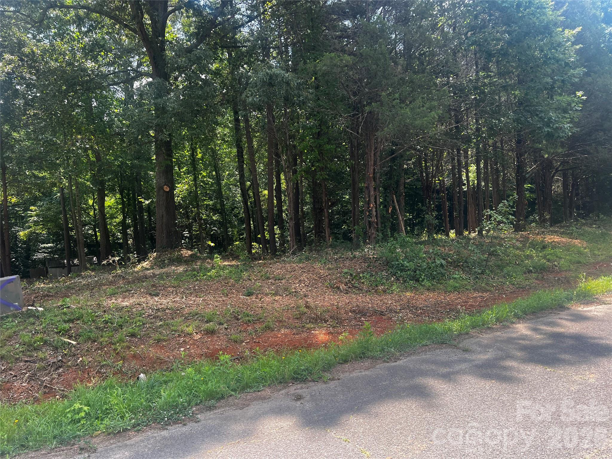 Lot at 10376 Turnplow Drive, Davidson, photo 12 of 13