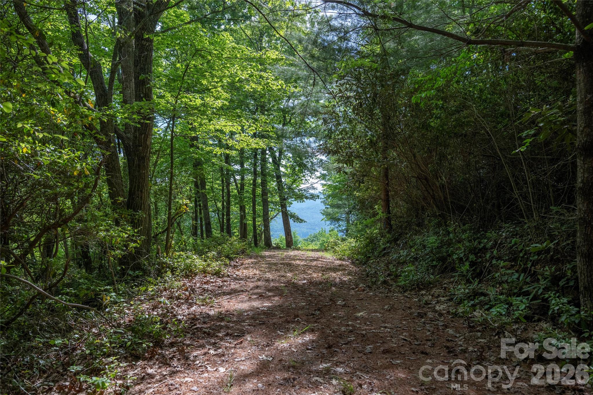 Lot at Lot 114R Toxaway Drive, Lake Toxaway, photo 2 of 17