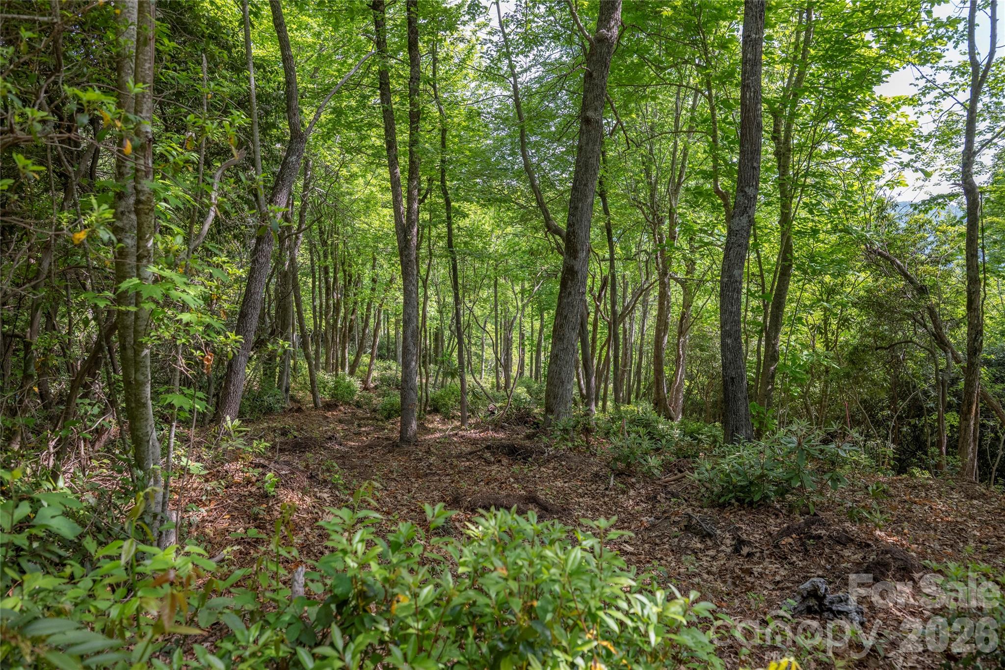 Lot at Lot 114R Toxaway Drive, Lake Toxaway, photo 3 of 17