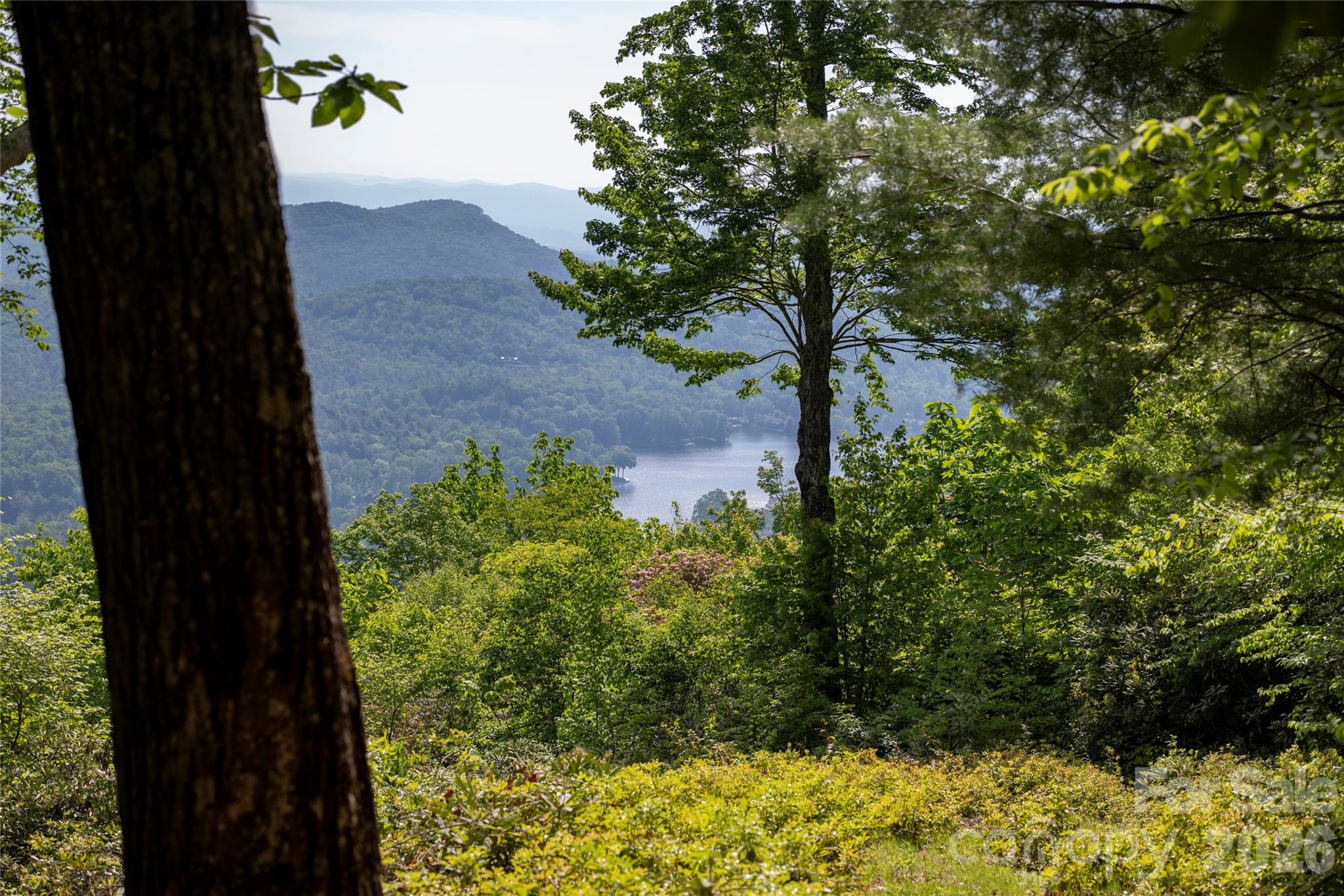 Lot at Lot 114R Toxaway Drive, Lake Toxaway, photo 4 of 17
