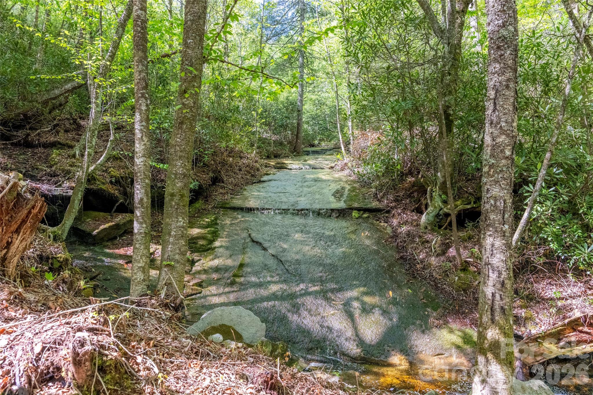 Acreage at River Camp Long Ridge Road, Lake Toxaway, photo 5 of 32