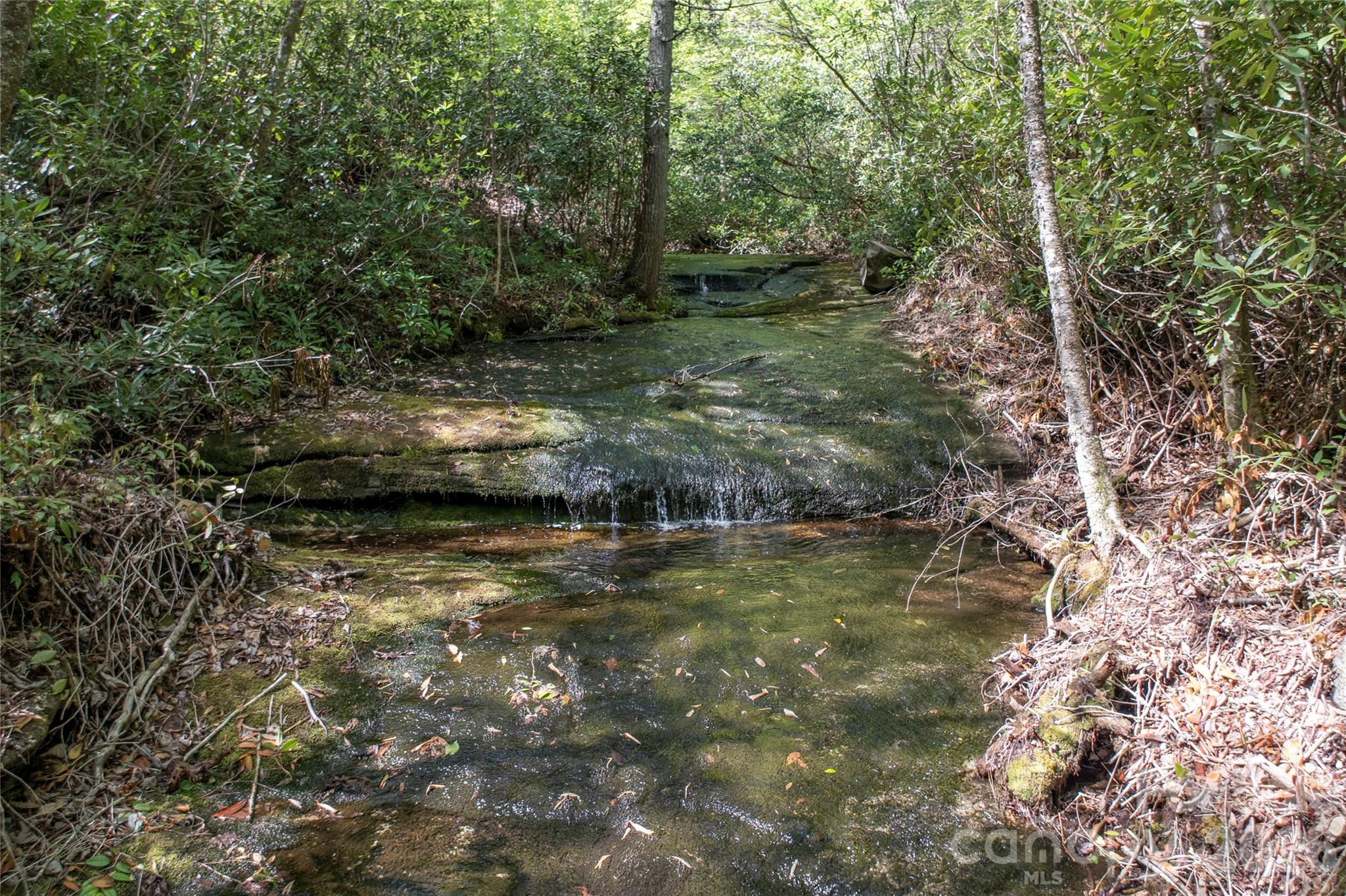 Acreage at River Camp Long Ridge Road, Lake Toxaway, photo 10 of 32