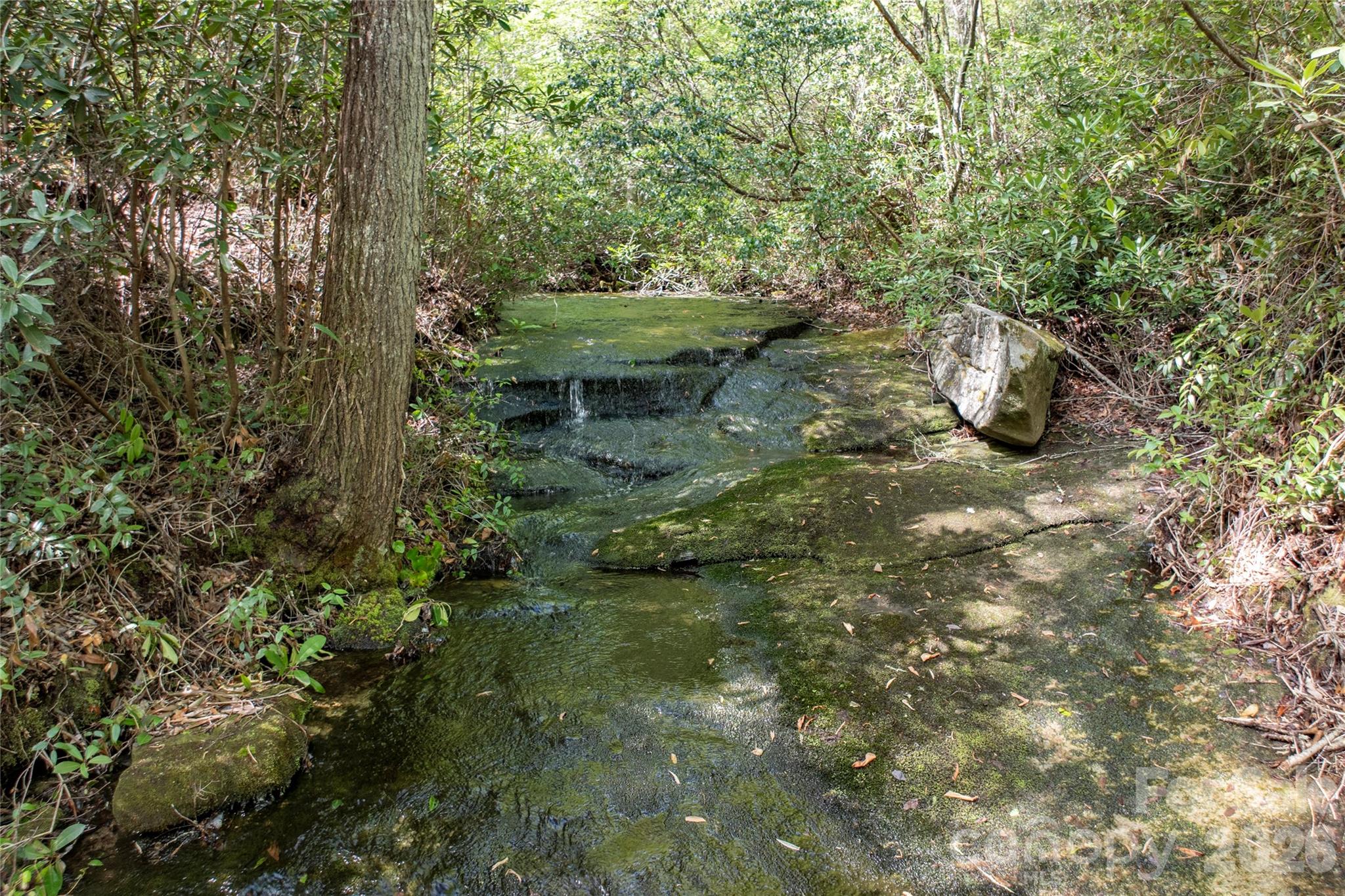 Acreage at River Camp Long Ridge Road, Lake Toxaway, photo 11 of 32