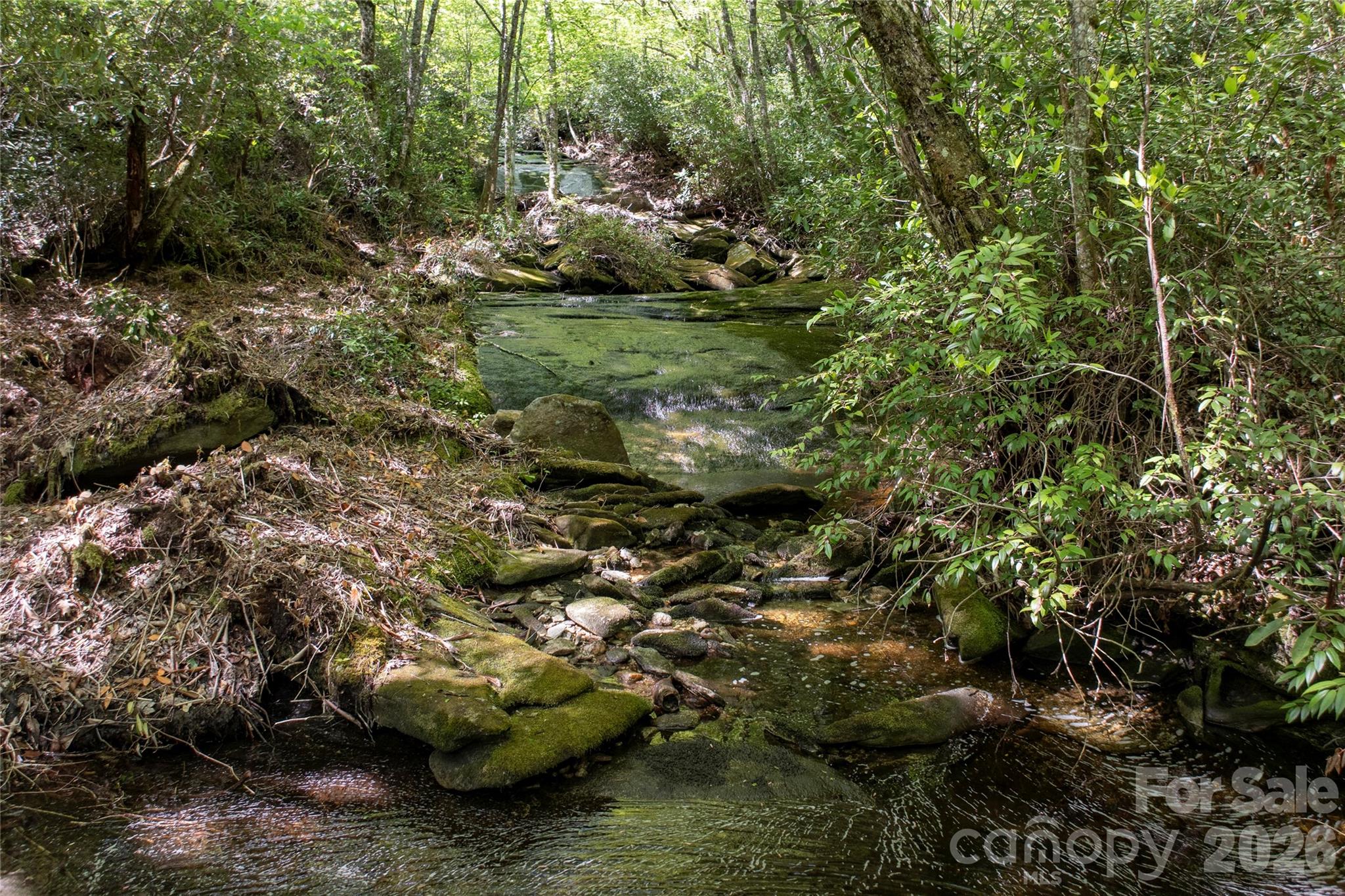 Acreage at River Camp Long Ridge Road, Lake Toxaway, photo 13 of 32
