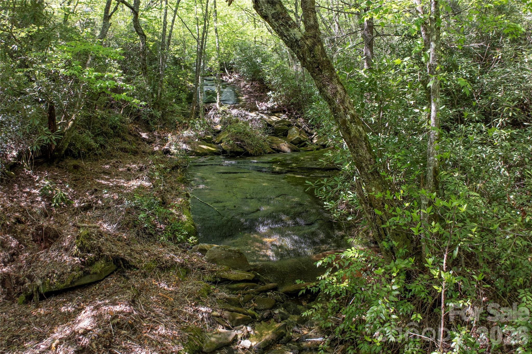 Acreage at River Camp Long Ridge Road, Lake Toxaway, photo 14 of 32