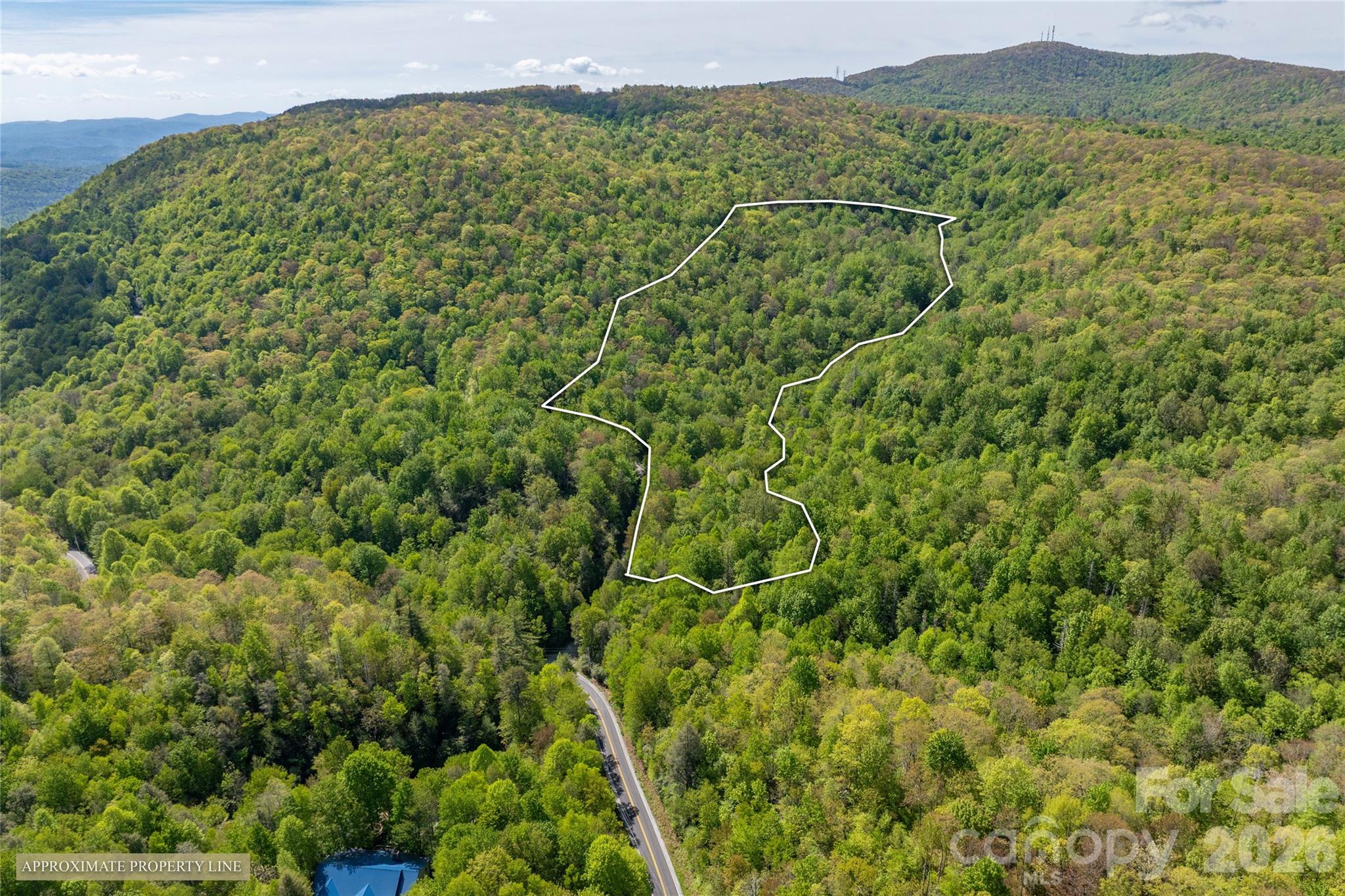 Acreage at River Camp Long Ridge Road, Lake Toxaway, photo 16 of 32