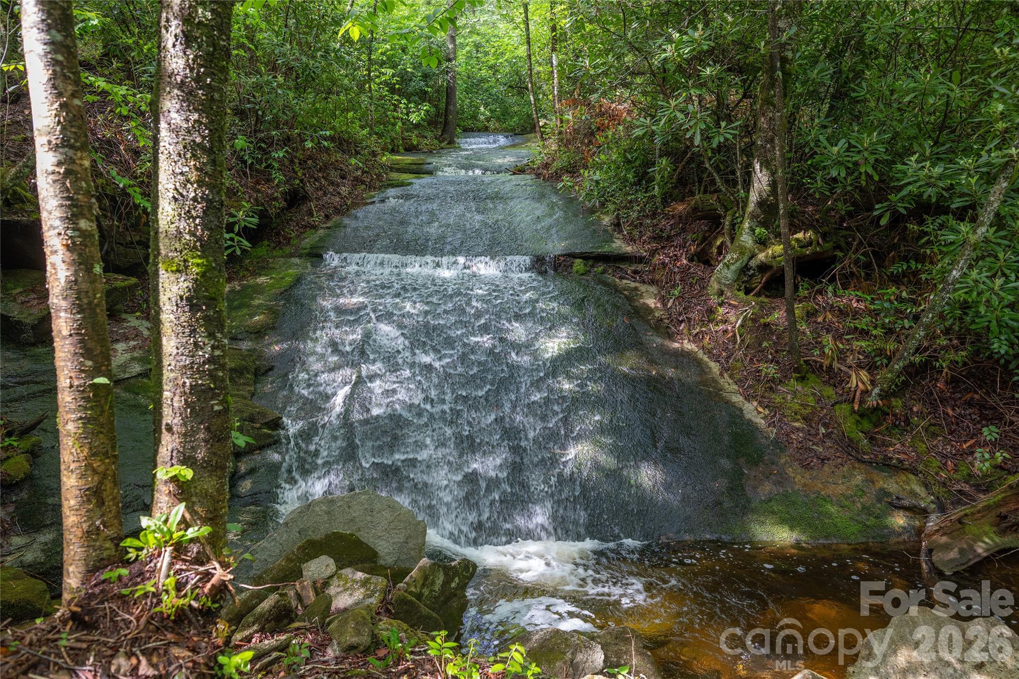 Acreage at River Camp Long Ridge Road, Lake Toxaway, photo 19 of 32