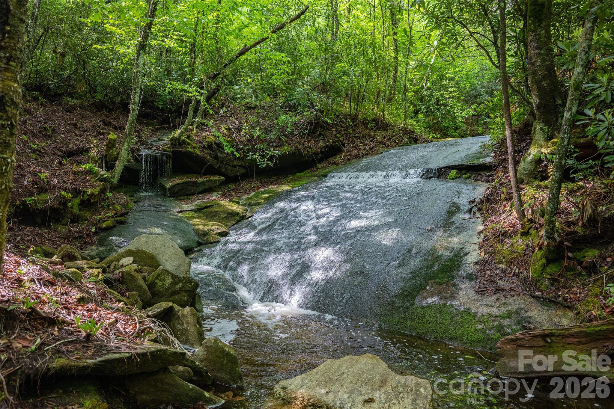 Acreage at River Camp Long Ridge Road, Lake Toxaway, photo 22 of 32