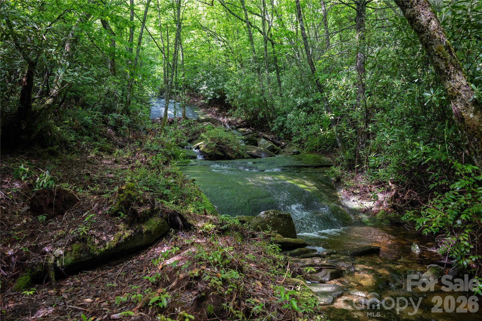 Acreage at River Camp Long Ridge Road, Lake Toxaway, photo 23 of 32